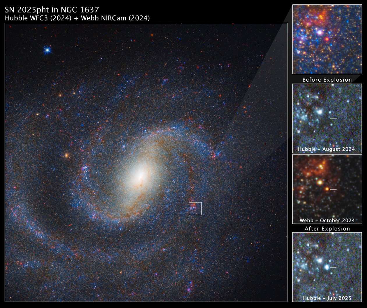 SN 2025pht w NGC 1637 autorstwa James Webb Space Telescope (NASA)