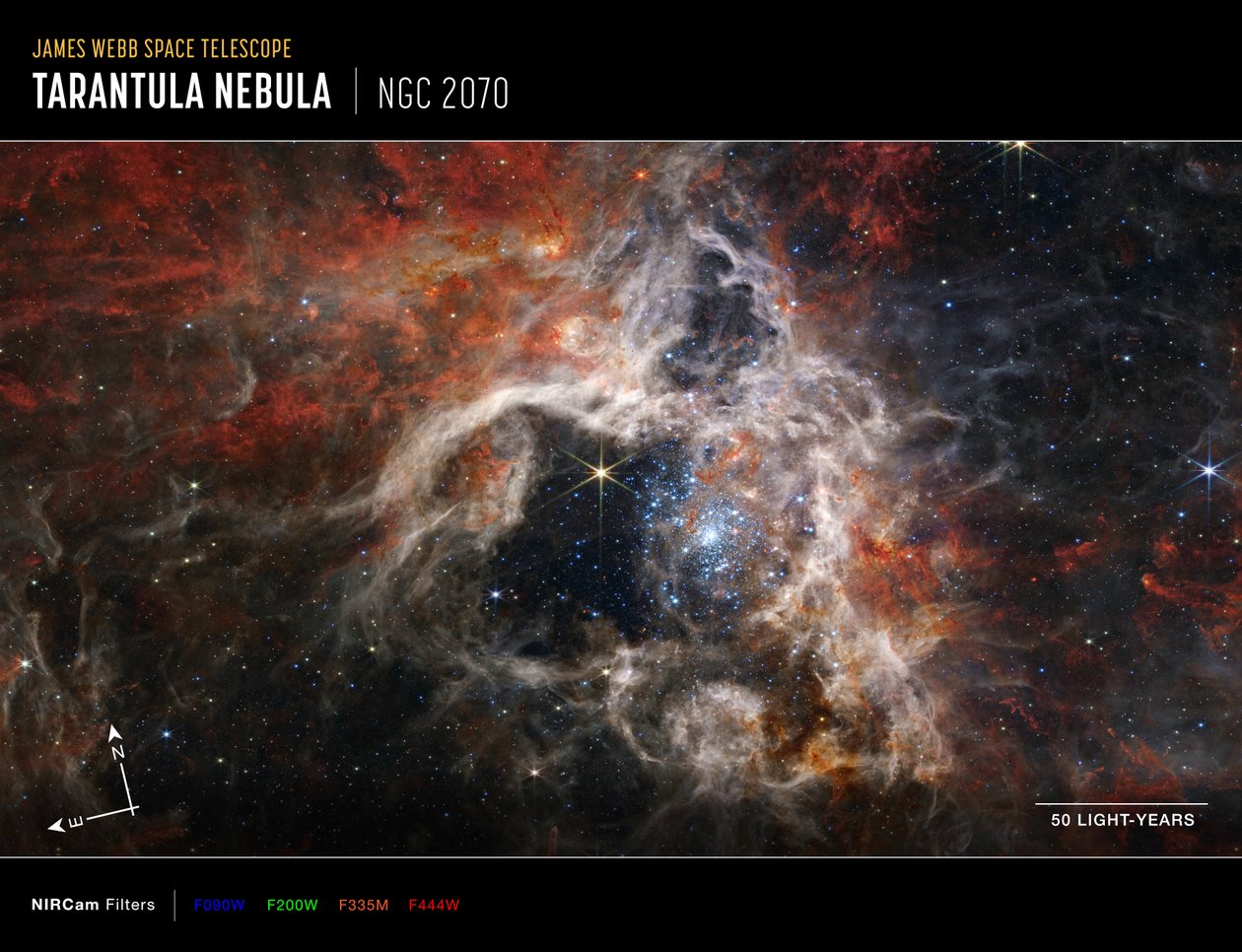 Mgławica Tarantula (obraz z kompasu NIRCam) autorstwa James Webb Space Telescope (NASA)