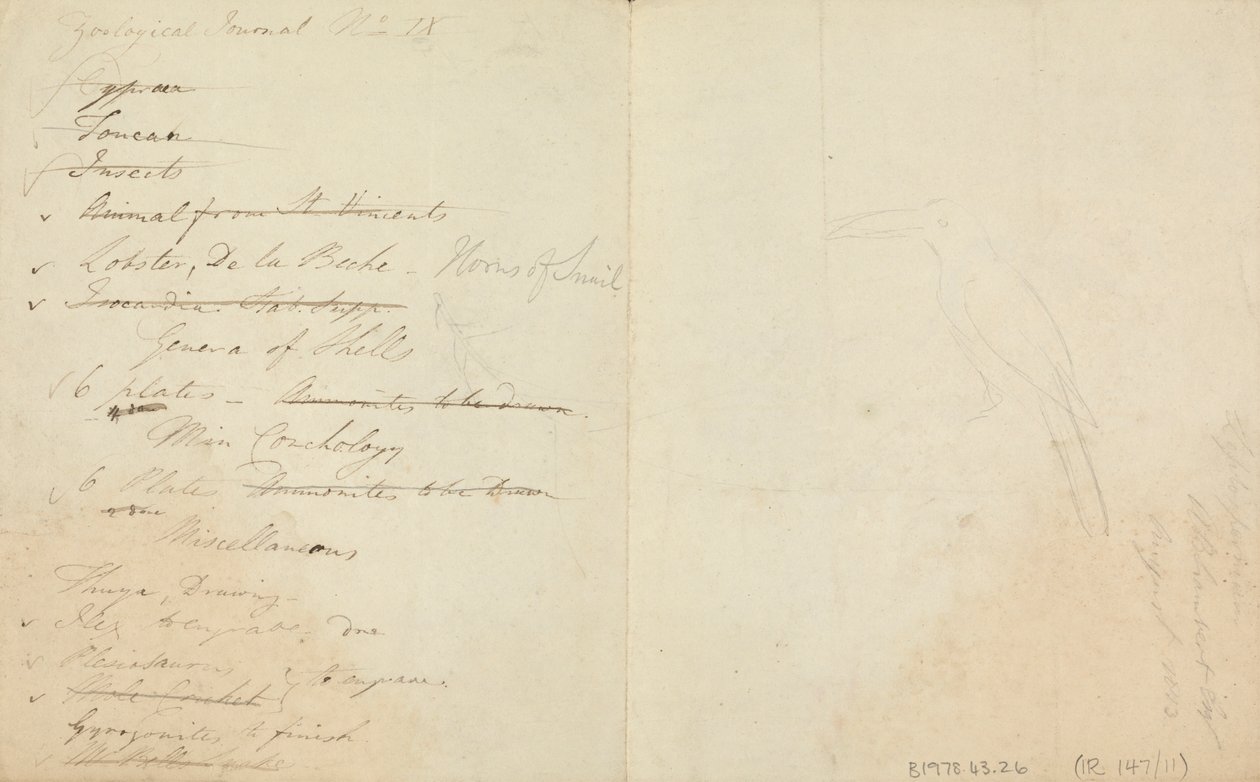 Trzy Tukany autorstwa James de Carle Sowerby