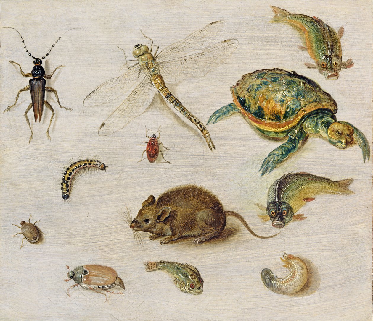 Studium owadów, stworzeń morskich i myszy autorstwa Jan the Elder Brueghel