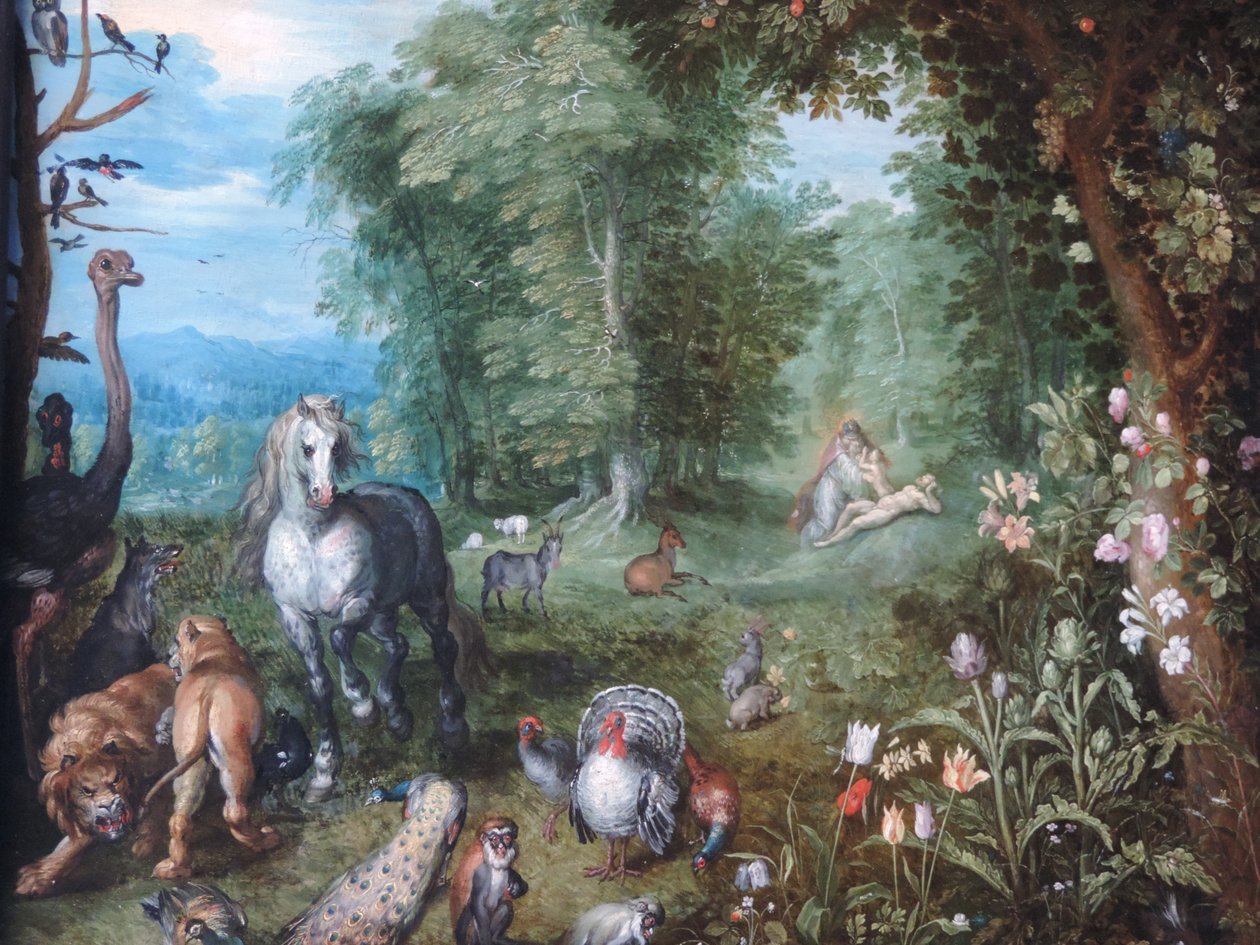Raj ze stworzeniem Ewy autorstwa Jan Brueghel the Younger