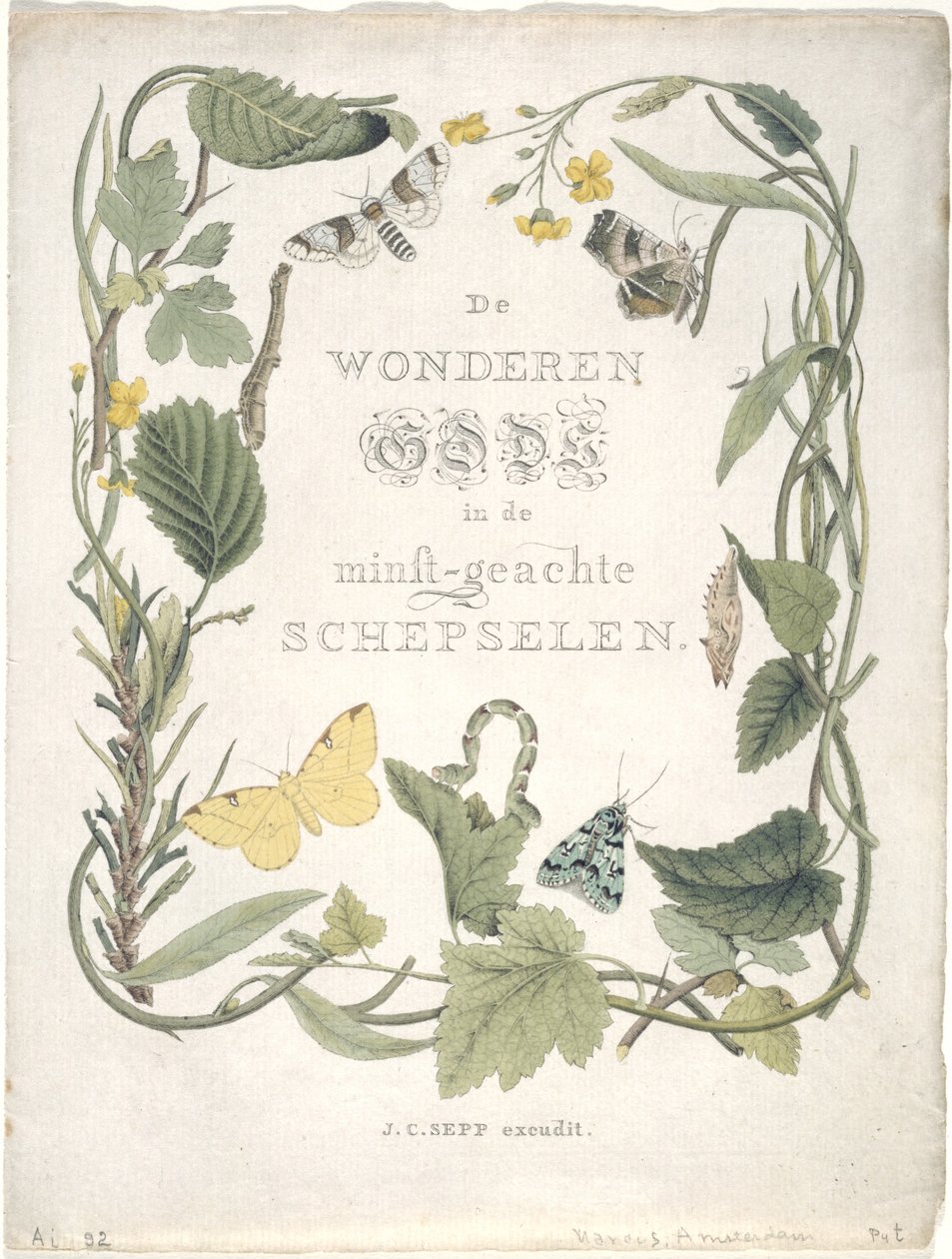 Nocne Motyle Pierwszej Rodziny Pierwszej Bandy. Patka. III., 1762-1860 autorstwa Jan Christiaen Sepp