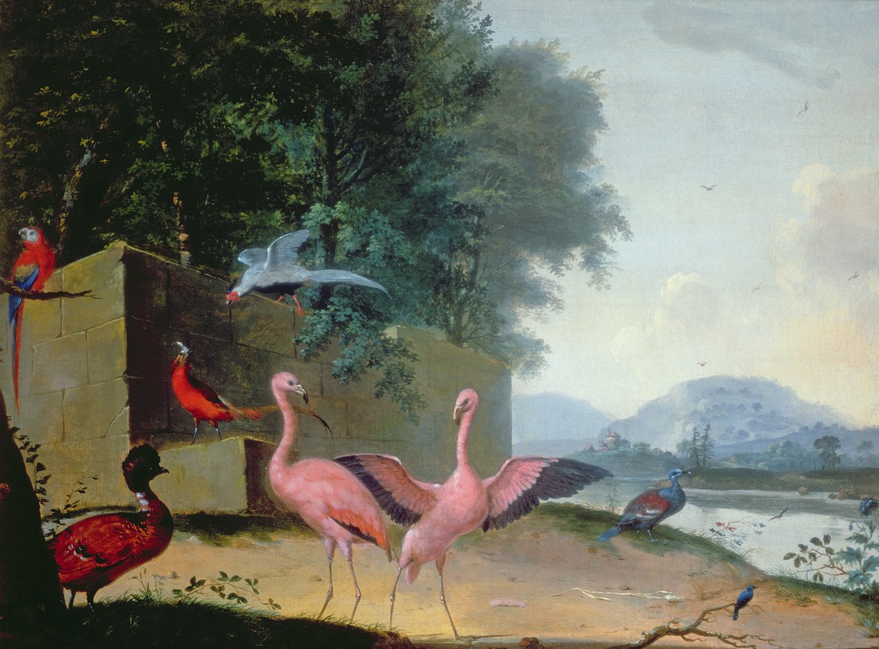 Zlot ptaków egzotycznych, w tym flamingi, papugi i bażant Lady Amherst autorstwa Gerrit van Honthorst