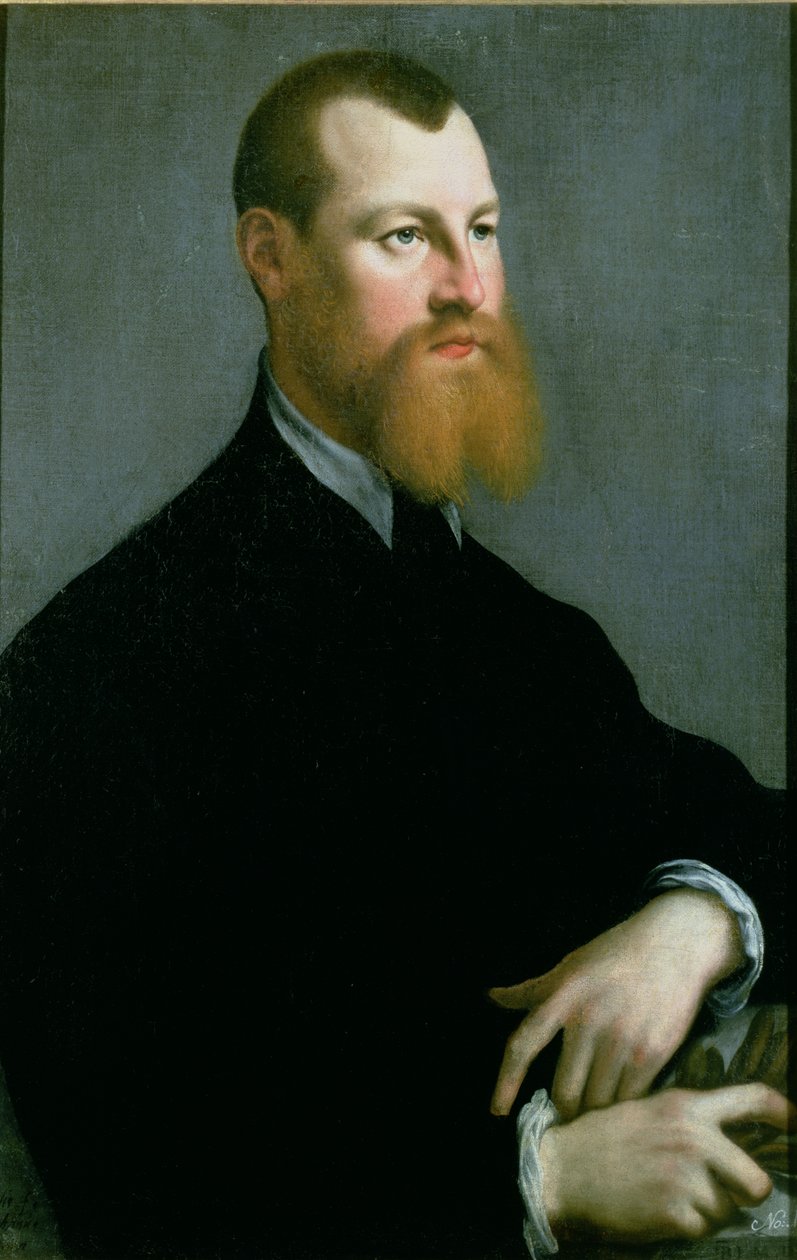 Portret mężczyzny z rudą brodą, XVI w. autorstwa Jan Stephen van Calcar