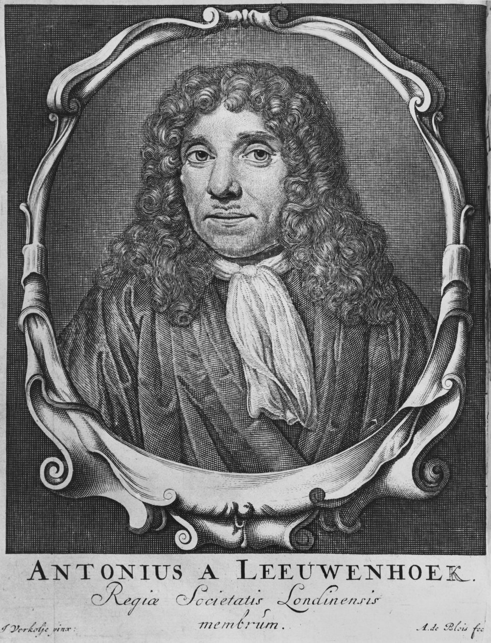 Portret Antona Van Leeuwenhoeka, ilustracja z "Arcania naturae...", wyryty przez Abrahama de Blois (XVII-XVIII w.) Lejda, 1722 r. autorstwa Jan Verkolje