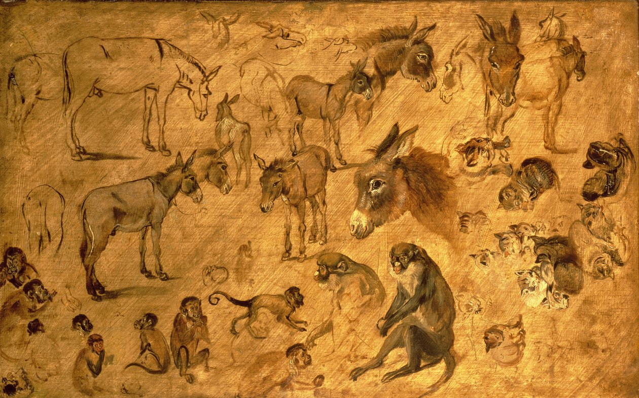 Studium osłów, kociąt i małp, 1616 autorstwa Jan the Elder Brueghel