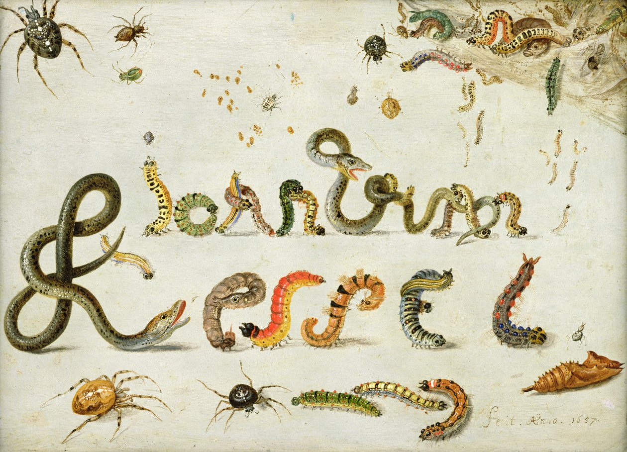 Ogród i inne pająki, gąsienice literują imię artysty, 1657 (olej na miedzi) autorstwa Jan van Kessel the Elder