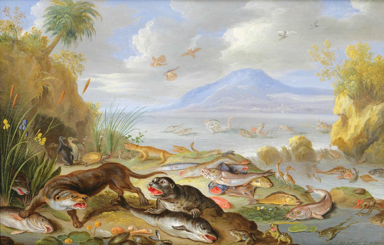 Żywioł wody, 1660 (olej na miedzi) autorstwa Jan van Kessel the Elder