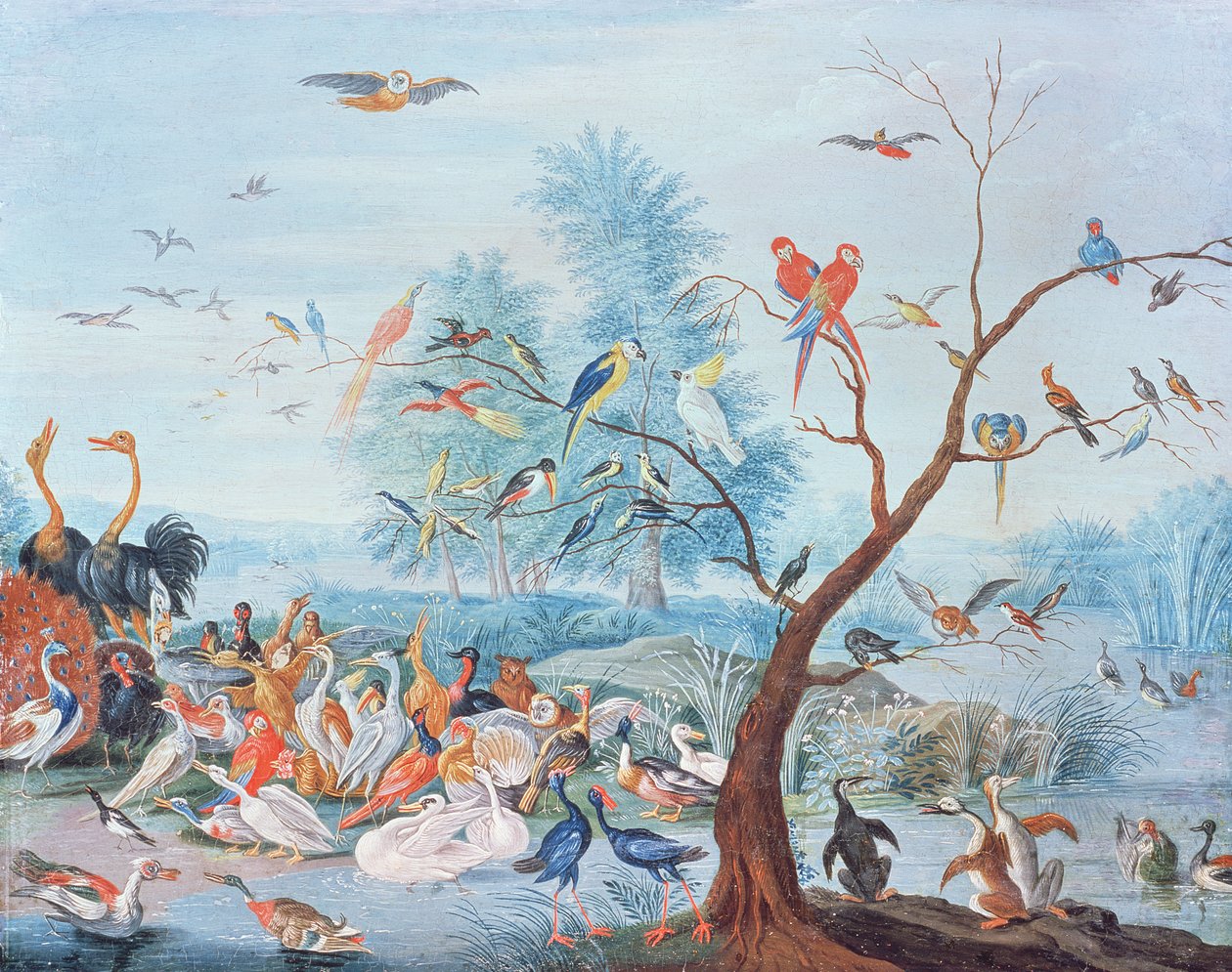 Tropikalne ptaki w krajobrazie autorstwa Jan van Kessel the Elder