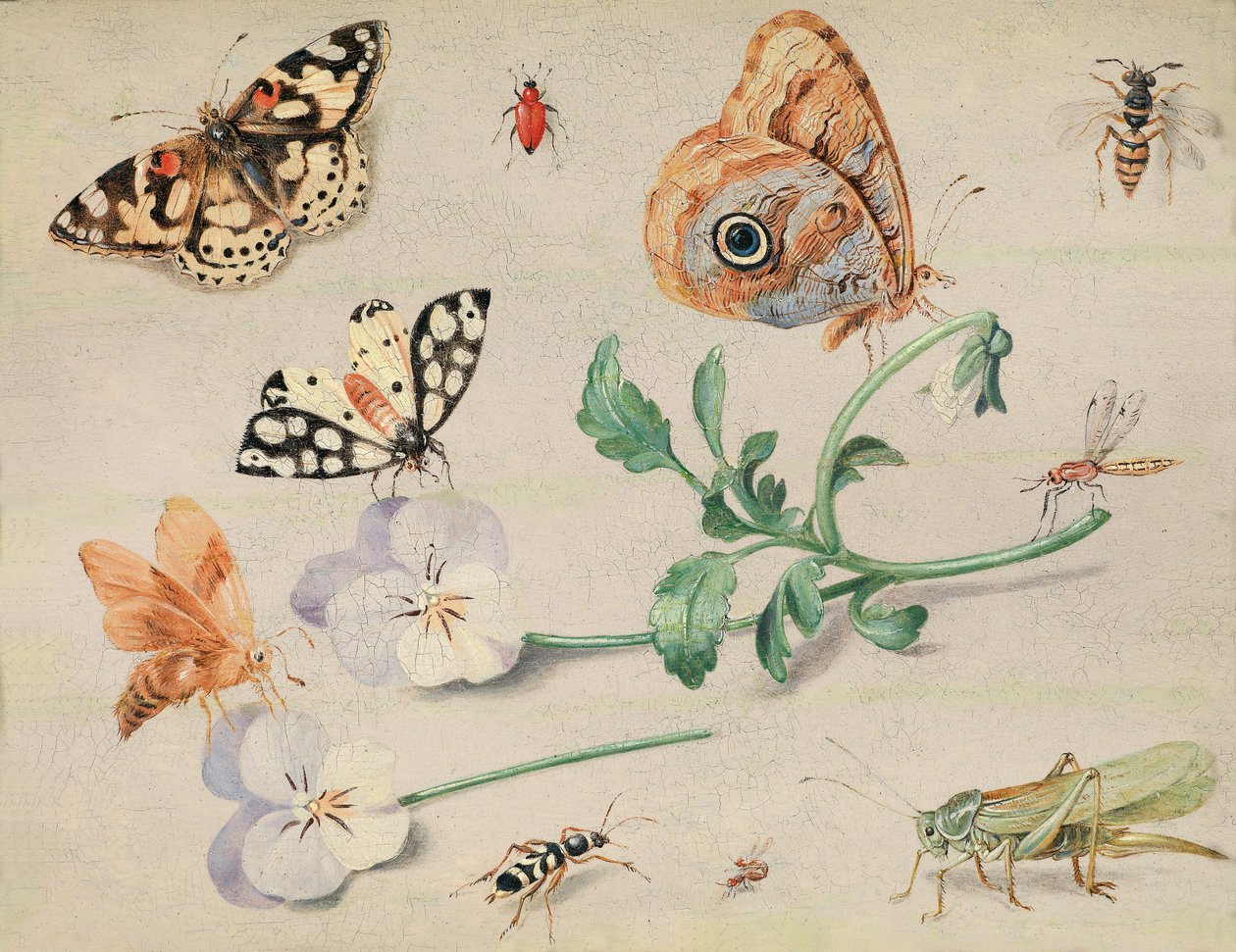 Badanie owadów i kwiatów autorstwa Jan van Kessel the Elder