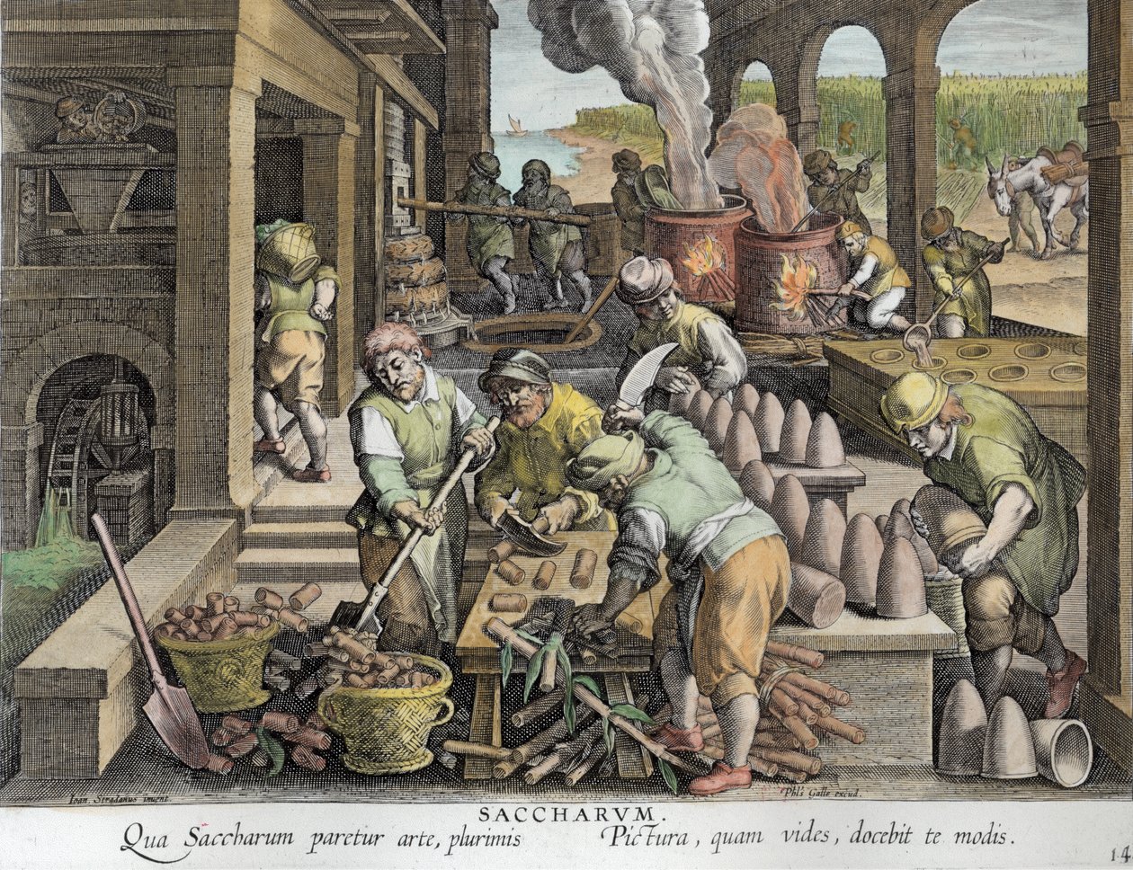 Cukrownia i produkcja bochenków cukru, płyta 14 z „Nova Reperta” (Nowe odkrycia) rytowana przez Philipa Galle (1537-1612) ok. 1600 (późniejsze zabarwienie) autorstwa Jan van der Straet