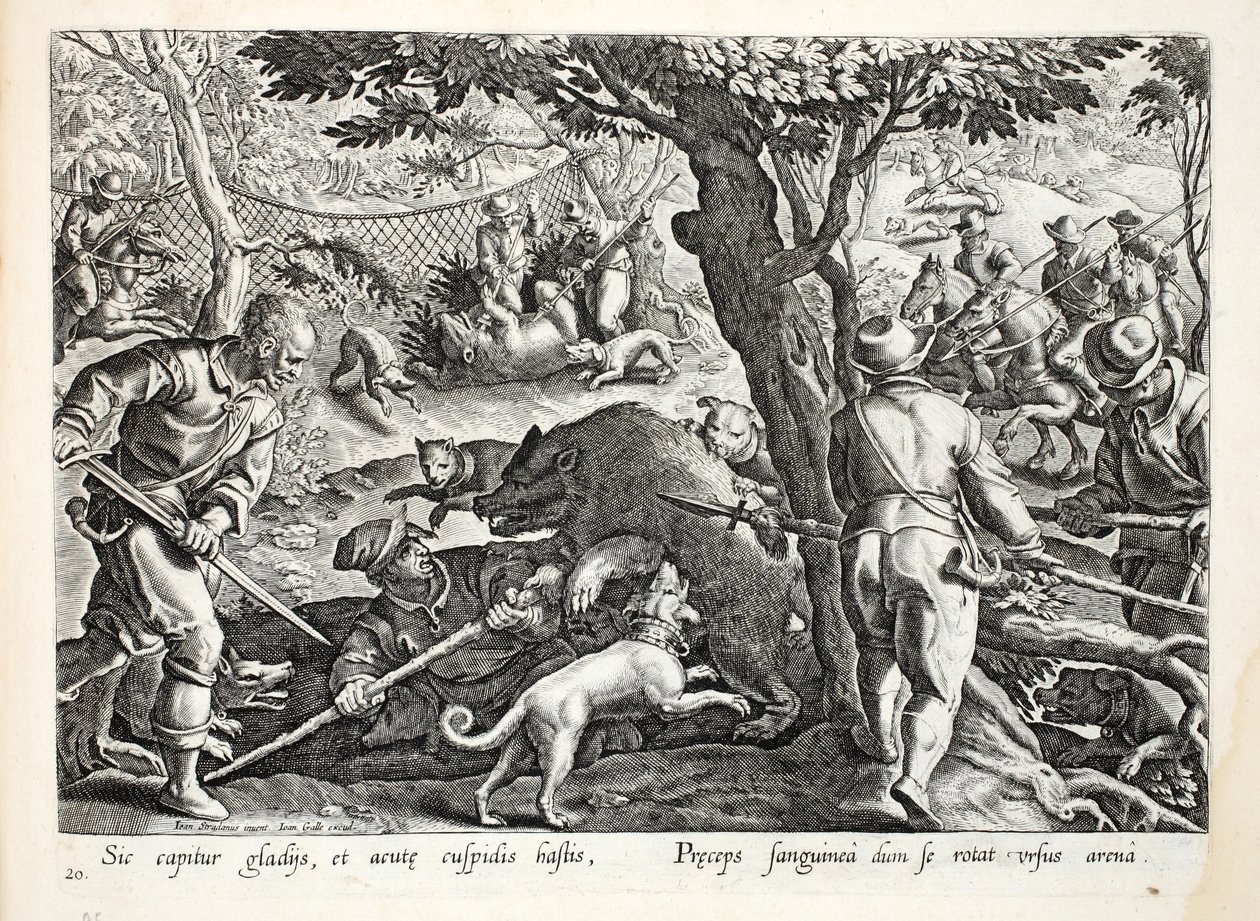 Polowanie na niedźwiedzia ukazujące włochatego niedźwiedzia zatapiającego ostre pazury w jednego z myśliwych, ilustracja z „Venationes, Ferarum, Avium, Piscium” (O polowaniu: Dzikie zwierzęta, Ptaki, Ryby), ryt. Jan Collae autorstwa Jan van der Straet