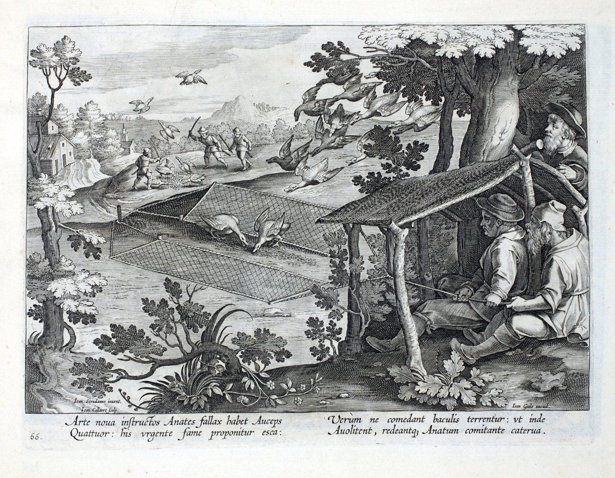 Nowa metoda polowania na kaczki, ilustracja z „Venationes, Ferarum, Avium, Piscium” (O polowaniach: dzikie zwierzęta, ptaki, ryby), sztych. Jan Collaert (1566-1628), wyd. przez Phillipusa Gallaeusa, Amster autorstwa Jan van der Straet