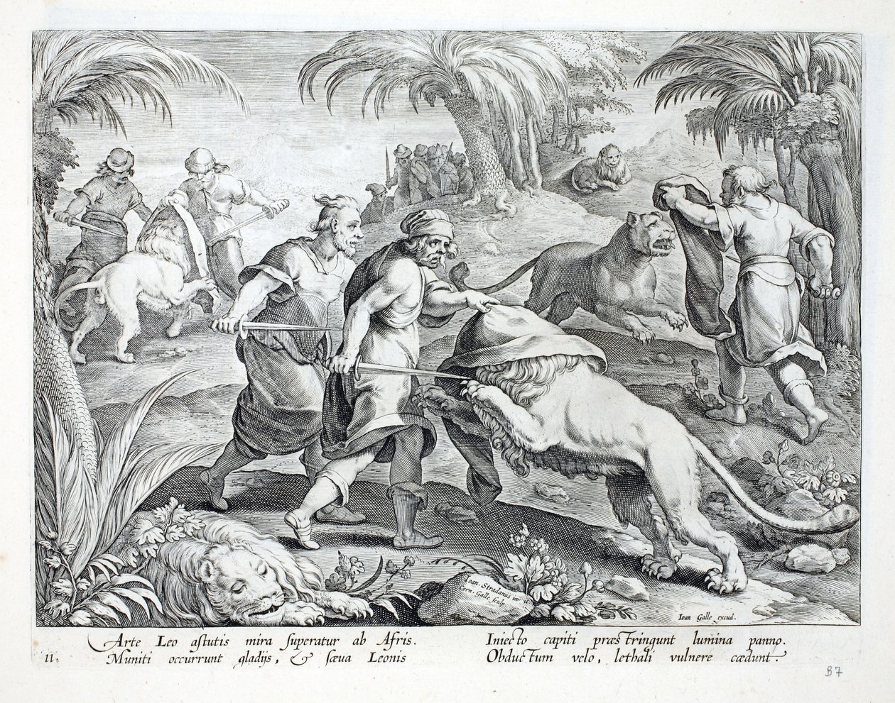Afrykanie polują na lwy, zakrywając im głowy, a następnie przekłuwając je śmiertelną raną, ilustracja z „Venationes, Ferarum, Avium, Piscium” (O polowaniu: dzikie zwierzęta, ptaki, ryby), rycina Jan Col autorstwa Jan van der Straet