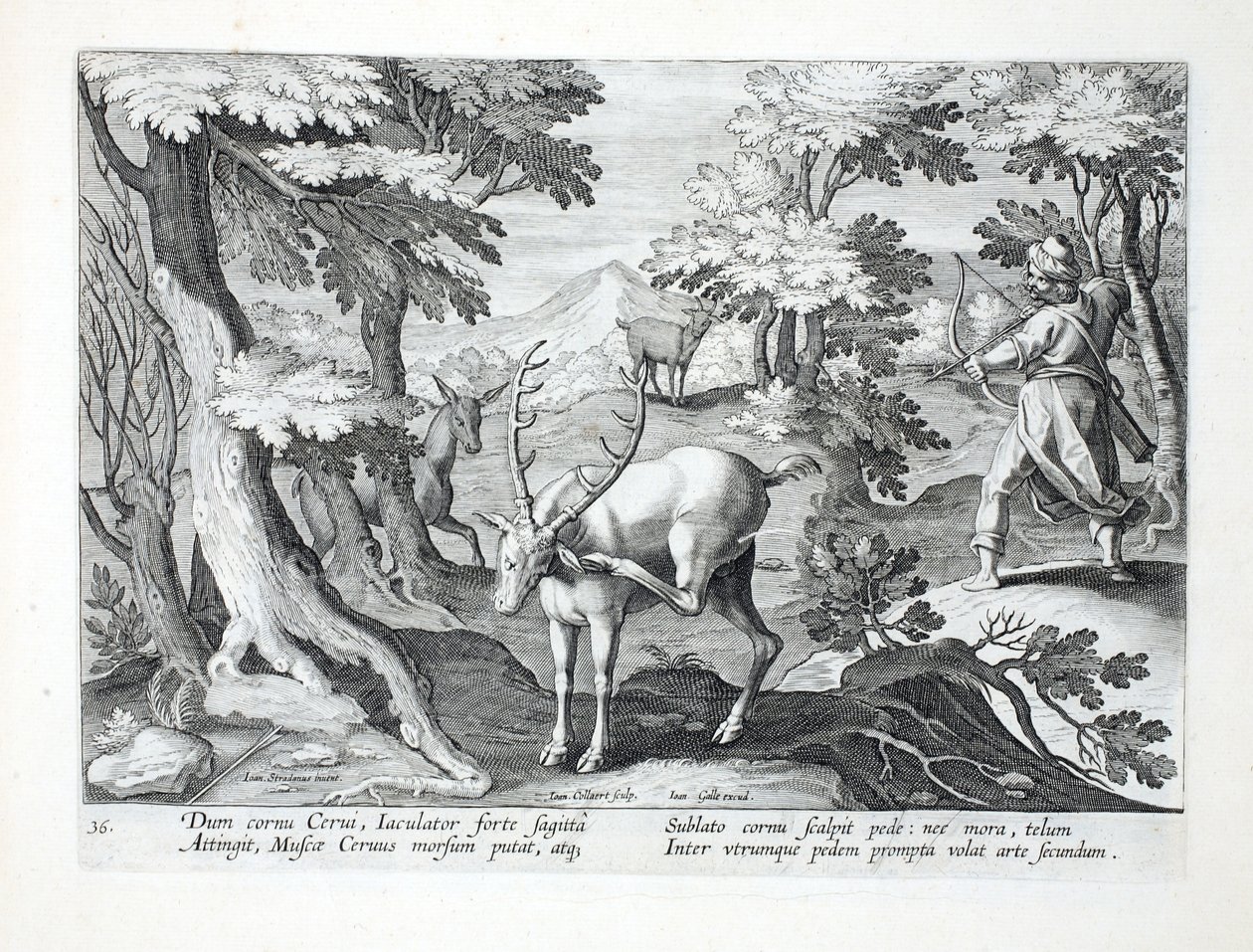 Gdy jeleń drapie poroże nogą, myśliwy, z obiema stopami do przodu, wystrzeliwuje strzałę w powietrze, ilustracja z "Venationes, Ferarum, Avium, Piscium" (Of Hunting: Dzikie bestie, ptaki autorstwa Jan van der Straet
