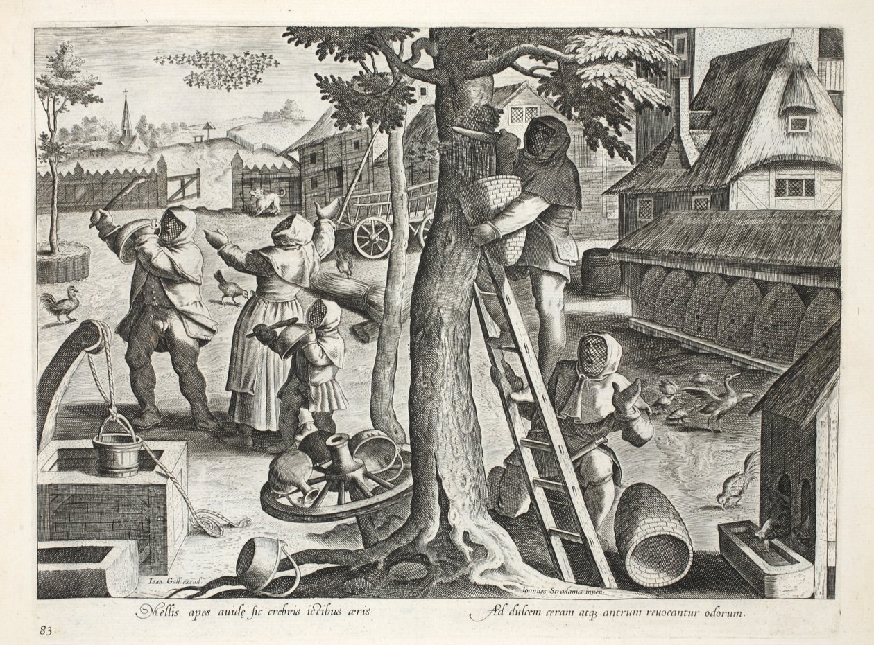 Pszczelarze, tablica 83, ilustracja z „Venationes, Ferarum, Avium, Piscium” (O polowaniu: Dzikie zwierzęta, ptaki, ryby), sztych. Jan Collaert (1566-1628), wyd. Phillipus Gallaeus, Amsterdam (engra autorstwa Jan van der Straet