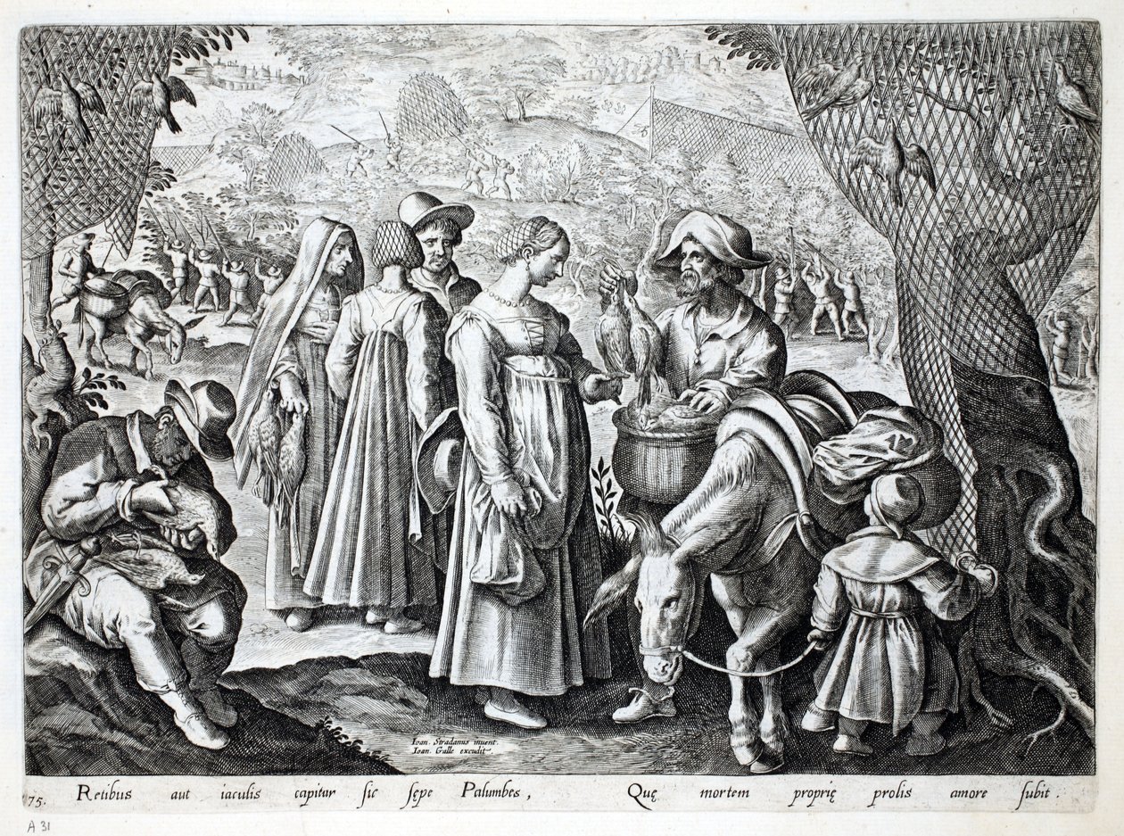 Ptasznicy sprzedający gołębie, ilustracja z "Venationes, Ferarum, Avium, Piscium" (O polowaniu: dzikie zwierzęta, ptaki, ryby), rycina Jana Collaerta (1566-1628), wyd. Phillipus Gallaeus, Amst autorstwa Jan van der Straet