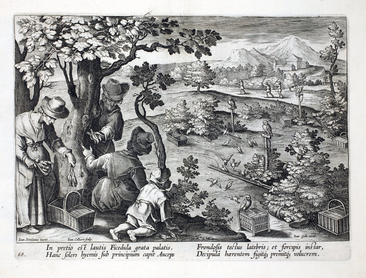 Ptaszniki używające sów i przebrania do łapania Figpeckerów, ilustracja z „Venationes, Ferarum, Avium, Piscium” (O polowaniu: dzikie zwierzęta, ptaki, ryby), ryt. Jan Collaert (1566-1628), wyd. za pomocą autorstwa Jan van der Straet