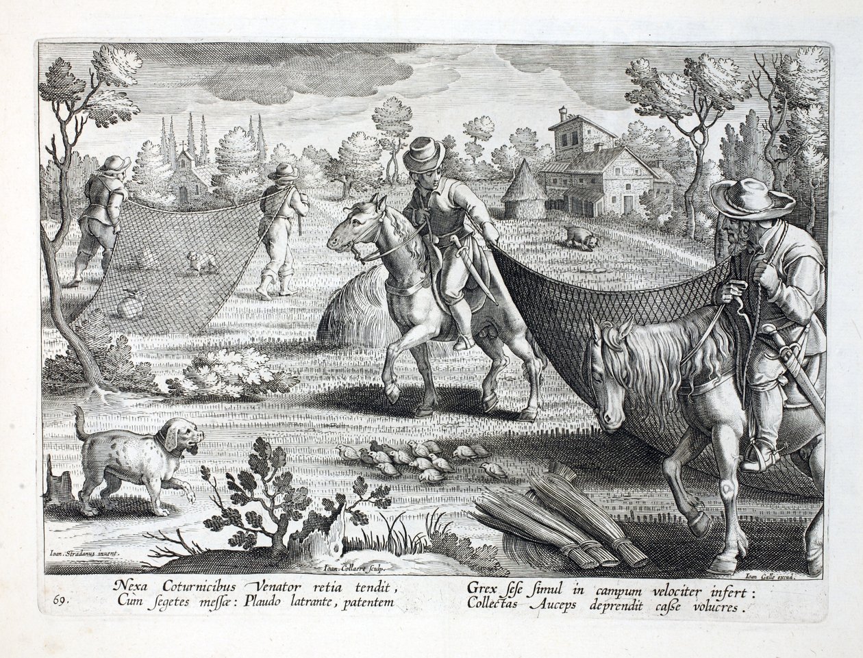 Łapanie przepiórek, ilustracja z "Venationes, Ferarum, Avium, Piscium" (O polowaniu: dzikie zwierzęta, ptaki, ryby), rycina Jana Collaerta (1566-1628), wyd. Phillipus Gallaeus, Amsterdam autorstwa Jan van der Straet
