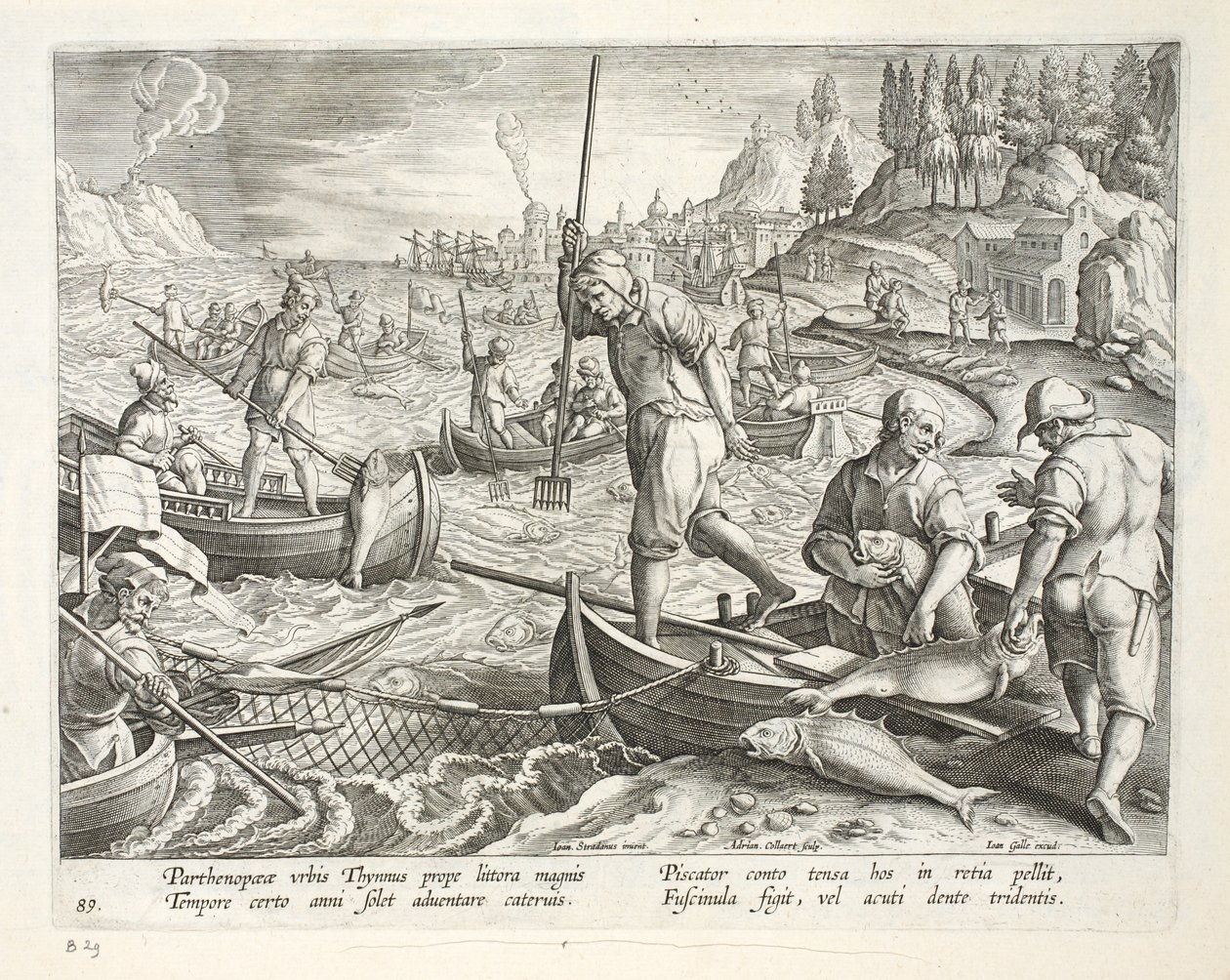 Łowienie w sieci i trójzęby w Zatoce Neapolitańskiej, tablica 89, ilustracja z „Venationes, Ferarum, Avium, Piscium” (O polowaniu: dzikie zwierzęta, ptaki, ryby), ryt. Jan Collaert (1566-1628), wyd. autorstwa Jan van der Straet