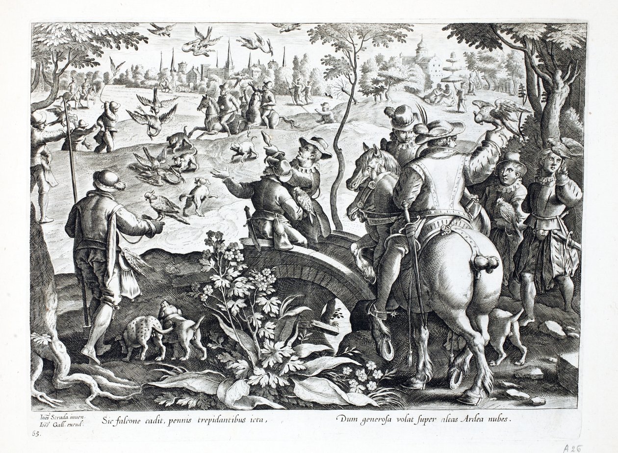 Polowanie z sokołami, ilustracja z "Venationes, Ferarum, Avium, Piscium" (O polowaniu: dzikie zwierzęta, ptaki, ryby), rycina Jana Collaerta (1566-1628), wyd. Phillipus Gallaeus, Amsterdam (ryc. autorstwa Jan van der Straet