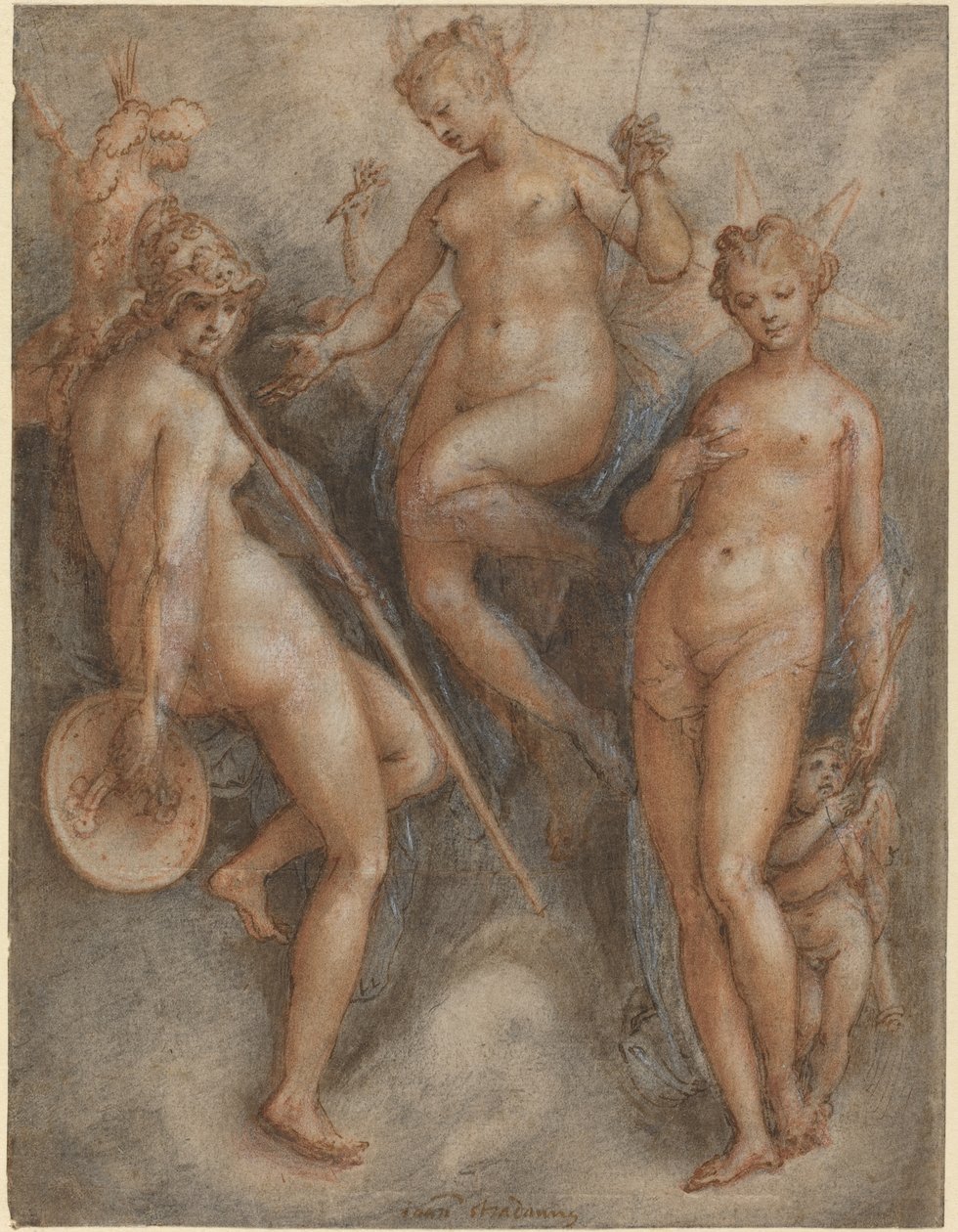 Minerwa, Juno i Wenus autorstwa Jan van der Straet