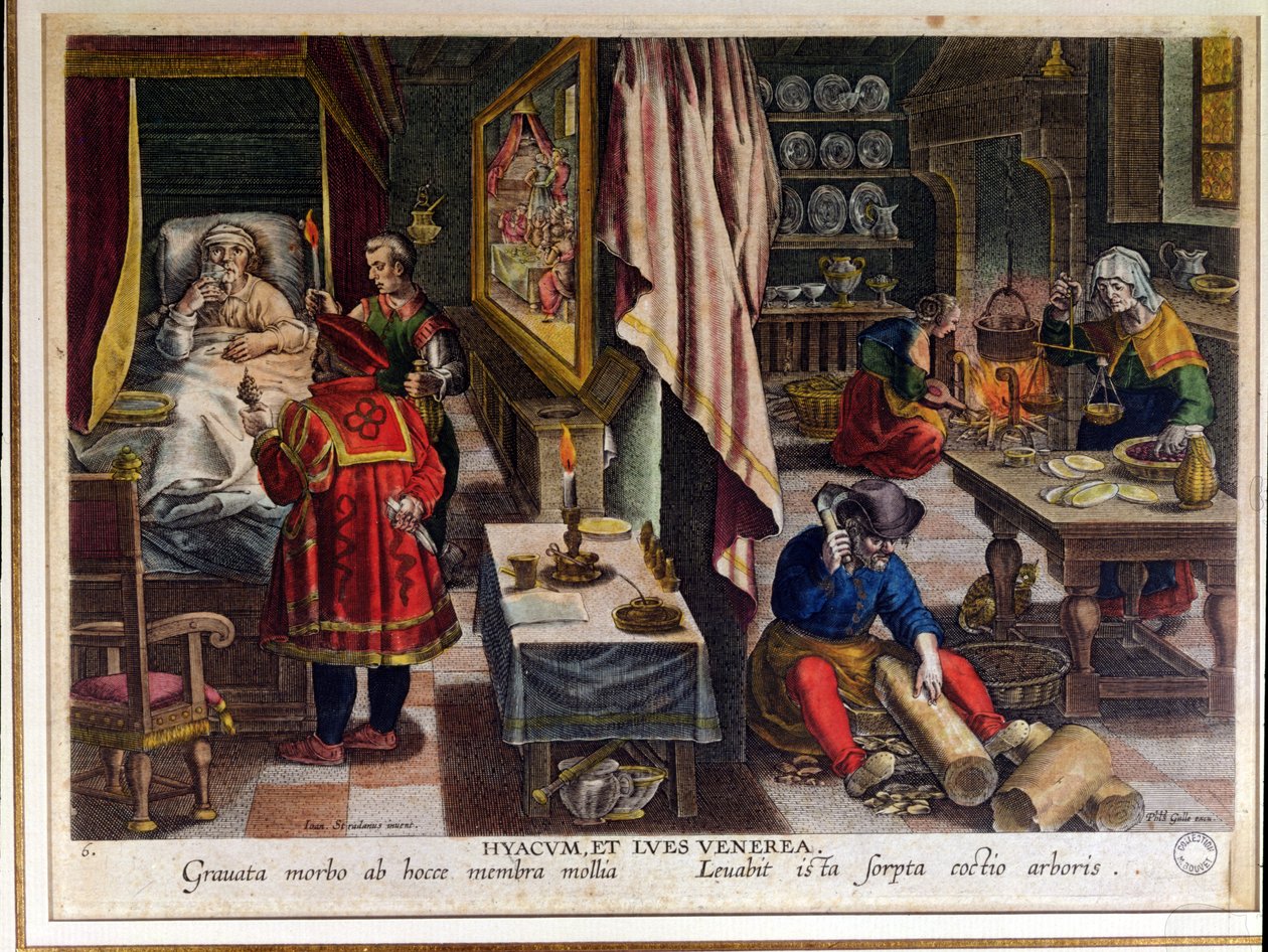 Preparat i zastosowanie Guayaco w leczeniu syfilisu, wyryte przez Philipa Galle (1537-1612) ok. 1570 r. (zob. też 91596) autorstwa Jan van der Straet