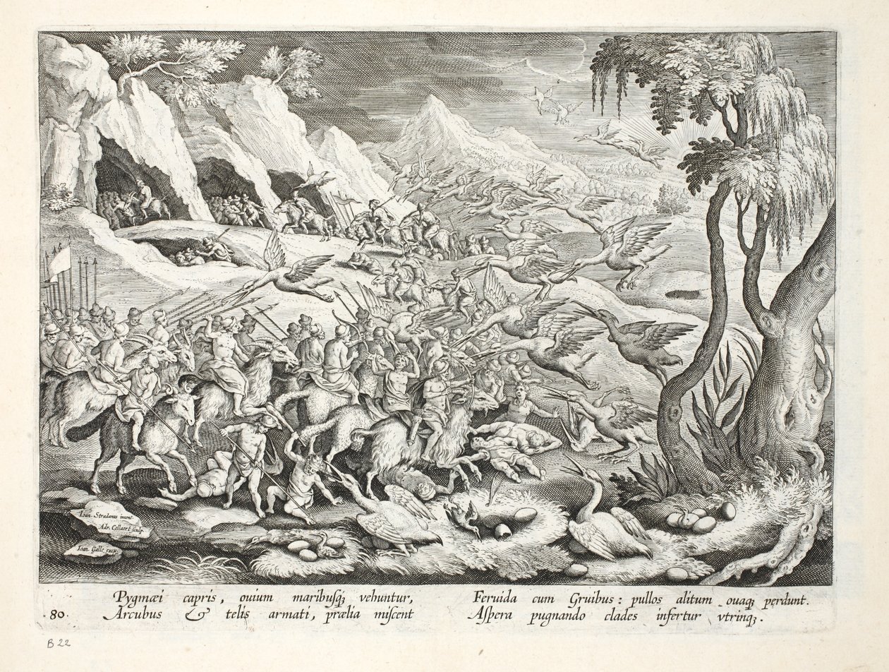 Pigmeje na kozach polujących Żuraw, ilustracja z „Venationes, Ferarum, Avium, Piscium” (Polowanie: Dzikie zwierzęta, Ptaki, Ryby), sztych. Jan Collaert (1566-1628), wyd. przez Phillipusa Gallaeusa, Amster autorstwa Jan van der Straet