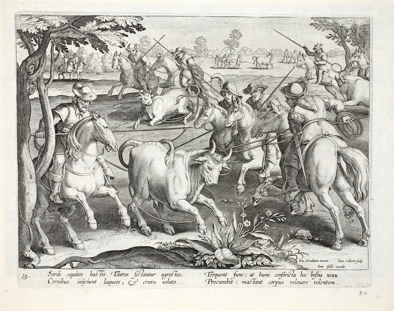 Jeźdźcy sardyńscy chwytają byki sznurami, ilustracja z „Venationes, Ferarum, Avium, Piscium” (O polowaniu: dzikie zwierzęta, ptaki, ryby), rycina Jan Collaert (1566-1628), wyd. przez Phillipusa Gali autorstwa Jan van der Straet