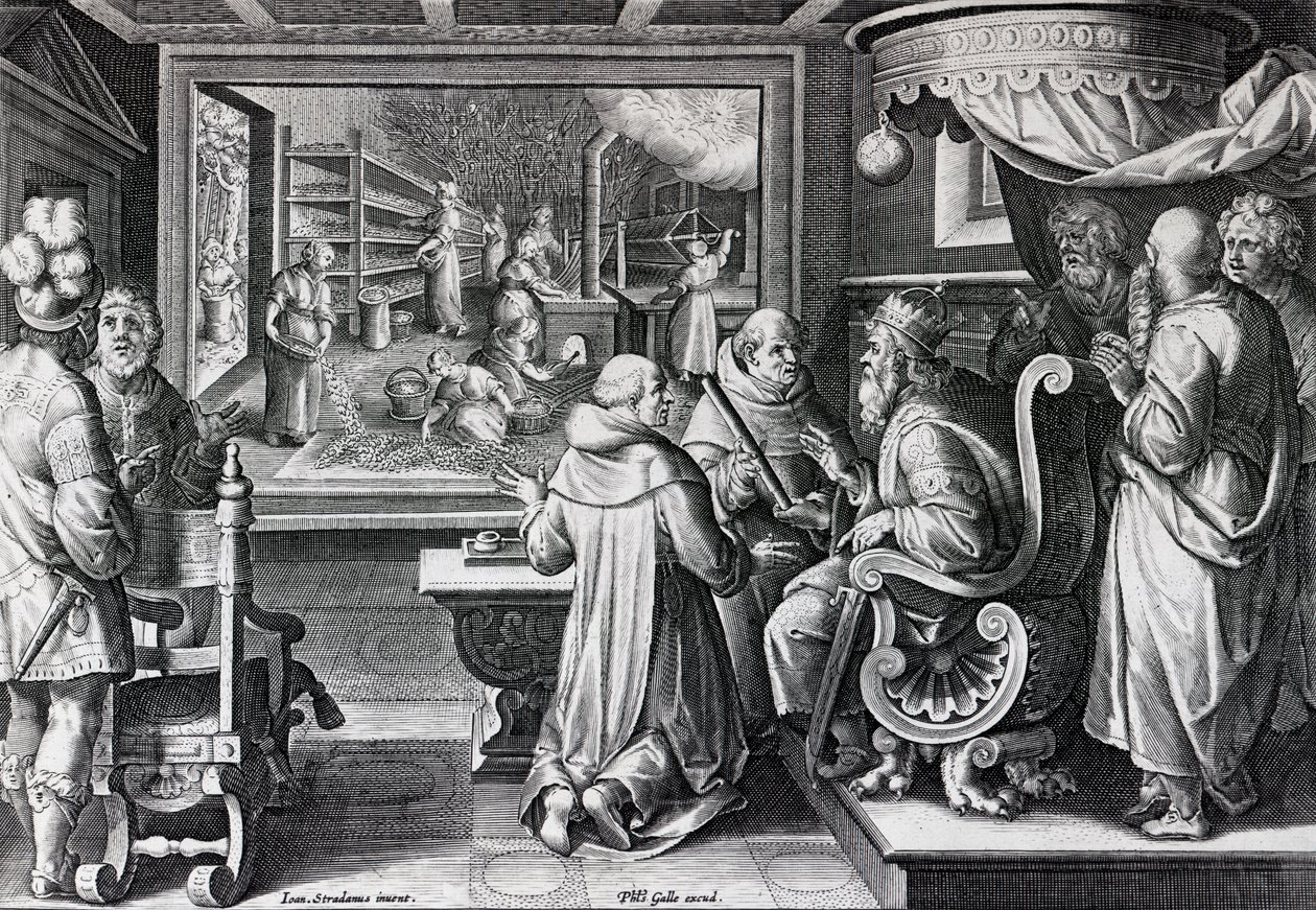 Sericus, sive Sericus Vermis, płyta 9 z 