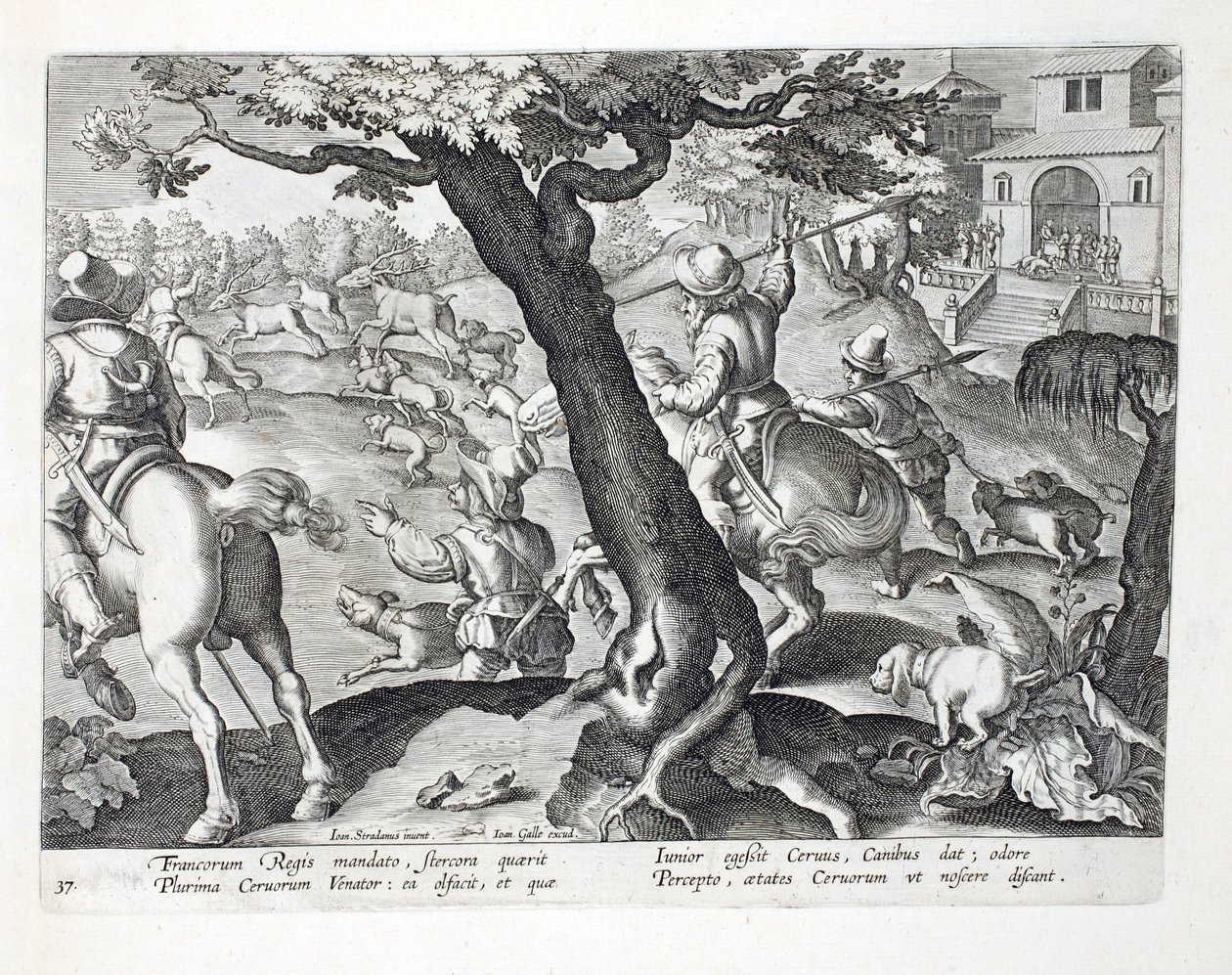 Król francuski polowanie na jelenie z psami, ilustracja z „Venationes, Ferarum, Avium, Piscium” (O polowaniach: Dzikie zwierzęta, ptaki, ryby), sztych. Jan Collaert (1566-1628), wyd. przez Phillipusa Gallaeusa autorstwa Jan van der Straet