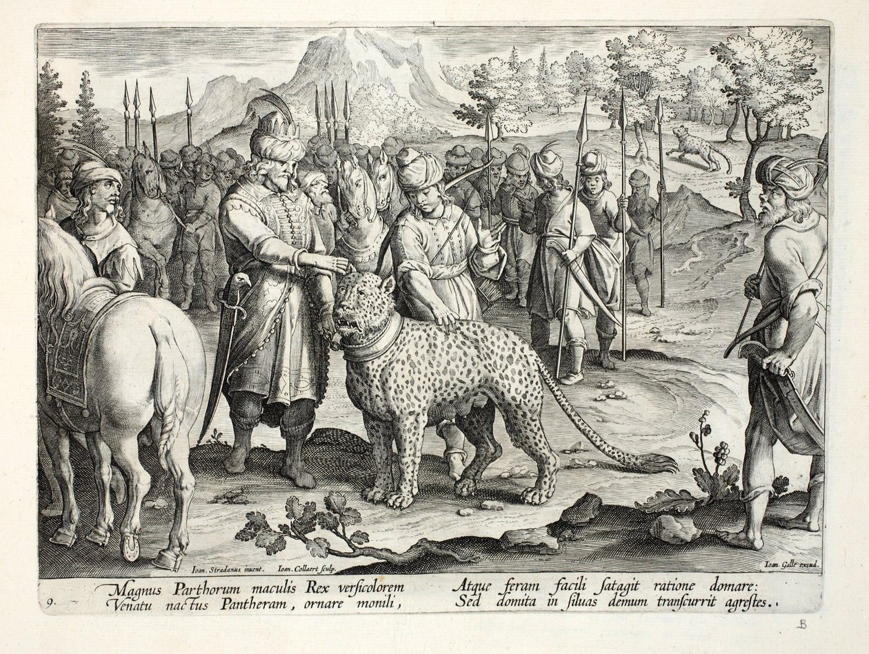 Wielki Król Partów poluje ze swoimi oswojonymi panterami, ilustracja z „Venationes, Ferarum, Avium, Piscium” (O polowaniu: dzikie zwierzęta, ptaki, ryby), sztychowana przez Jana Collaerta (1566-1628), wyd. autorstwa Jan van der Straet