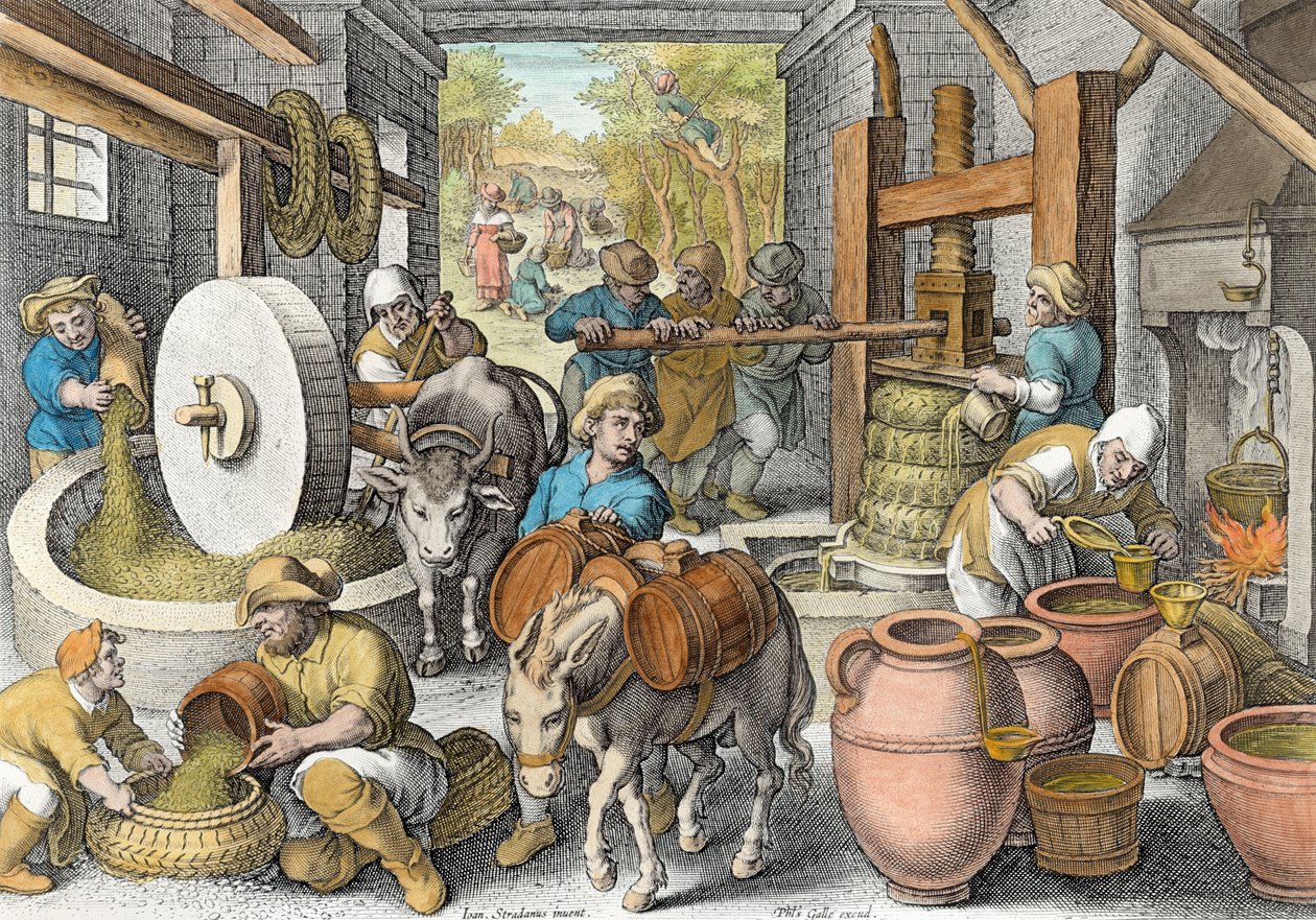 Produkcja oliwy z oliwek, płyta 13 z „Nova Reperta” (Nowe odkrycia) rytowana przez Philipa Galle (1537-1612) ok. 1600 (późniejsze zabarwienie) autorstwa Jan van der Straet