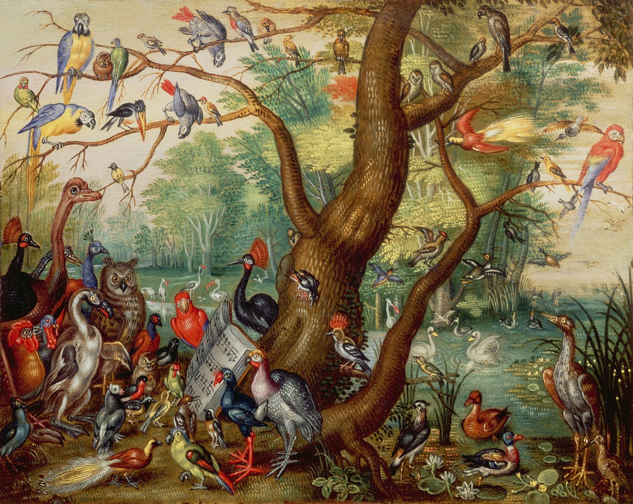 Koncert Ptaków (olej na miedzi) autorstwa Jan van Kessel the Elder