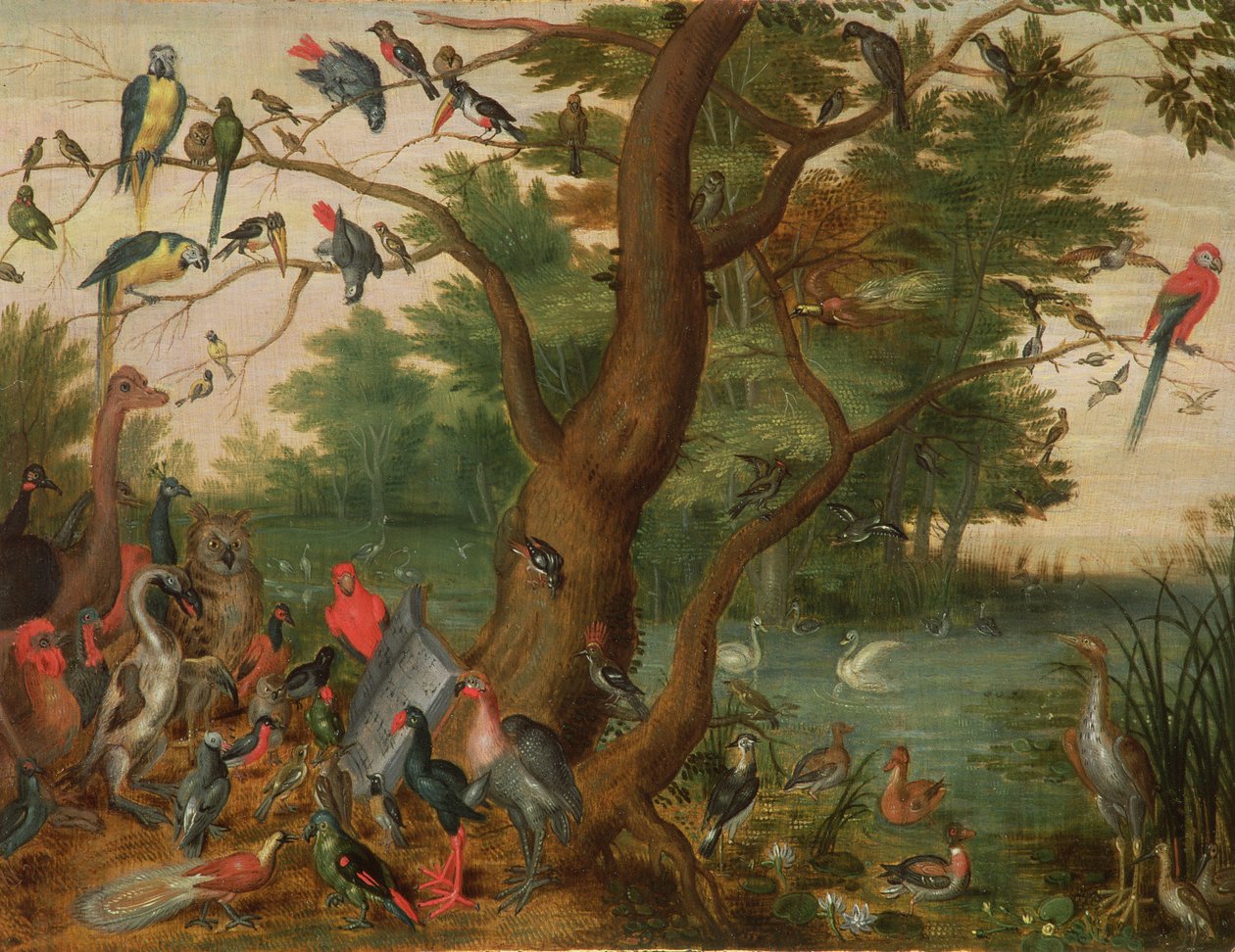 Koncert Ptaków (panel) autorstwa Jan van Kessel the Elder