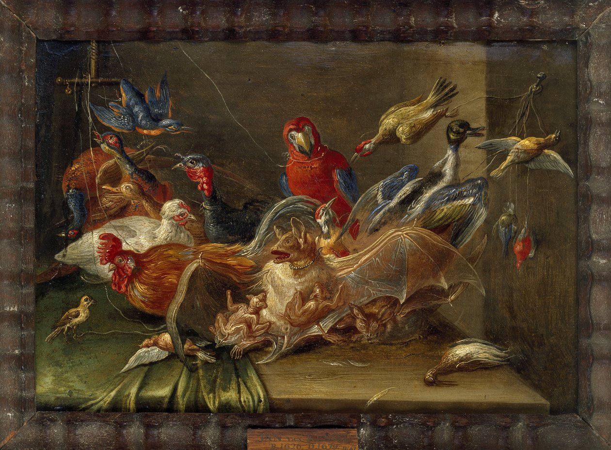 Dekoracyjna kompozycja martwej natury z ptakami i dwoma nietoperzami (olej na miedzi) autorstwa Jan van Kessel the Elder