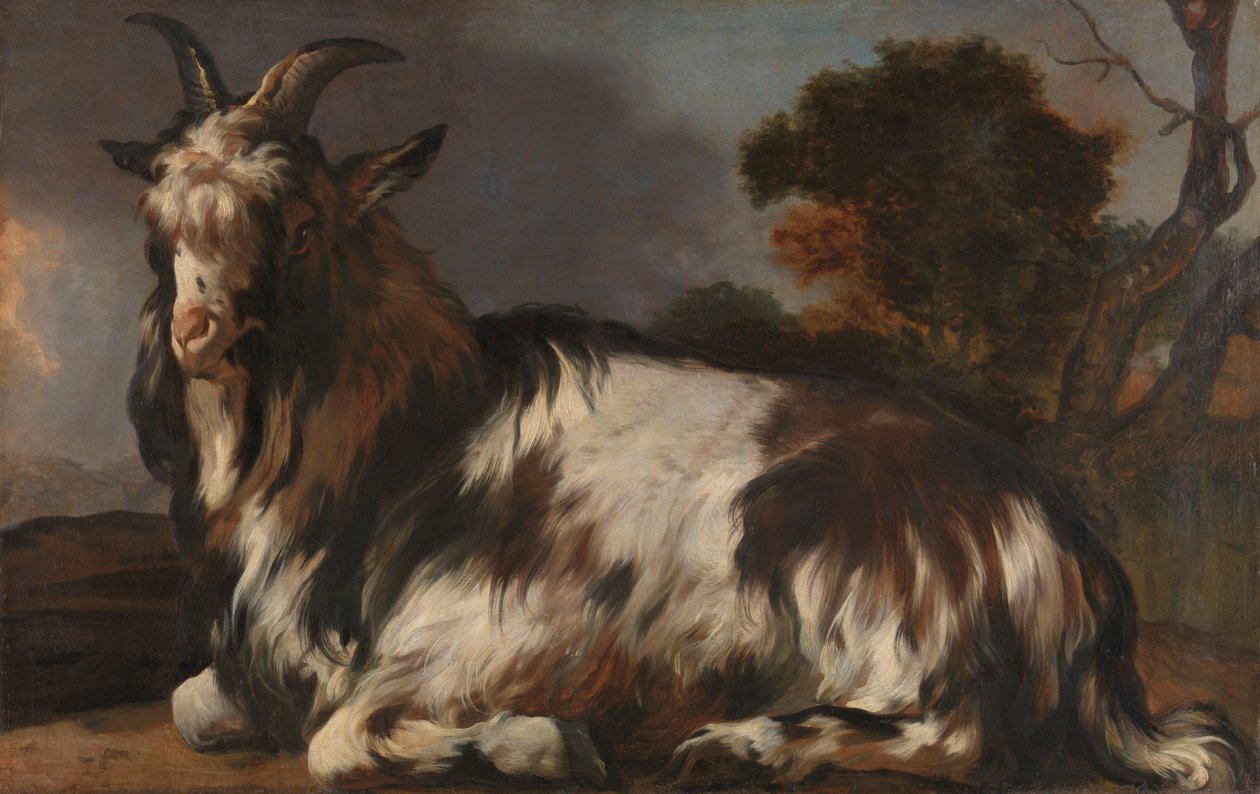 Leżąca Koza autorstwa Jan Baptist Weenix