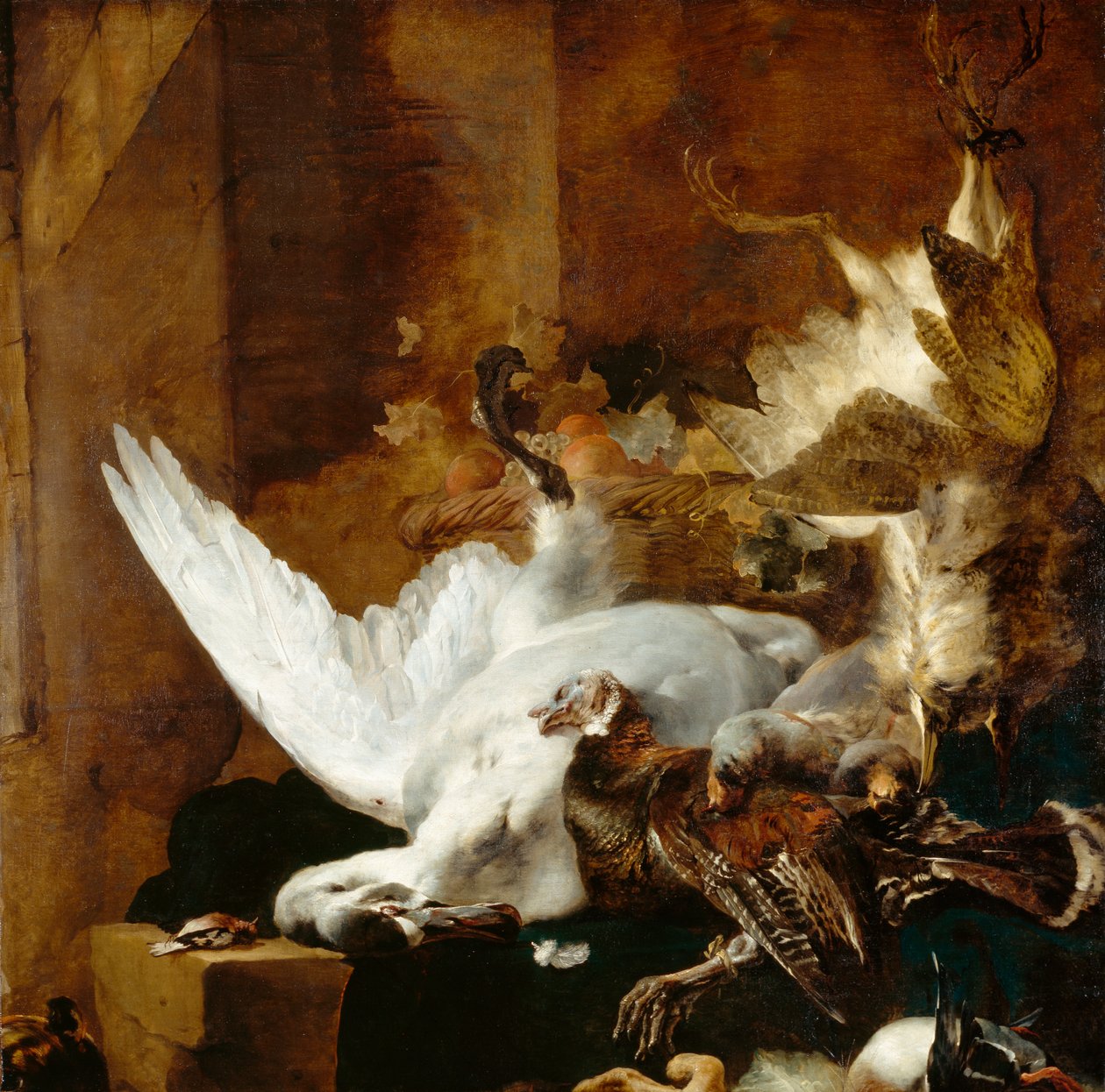 Martwa natura z martwym łabędziem, ok.1651 autorstwa Jan Baptist Weenix