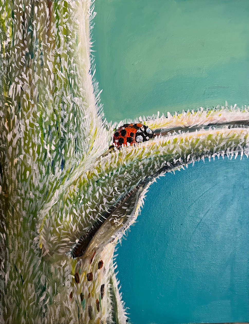 Fly Away Home, 2023 (akryl na płótnie) autorstwa Jan Barzottini
