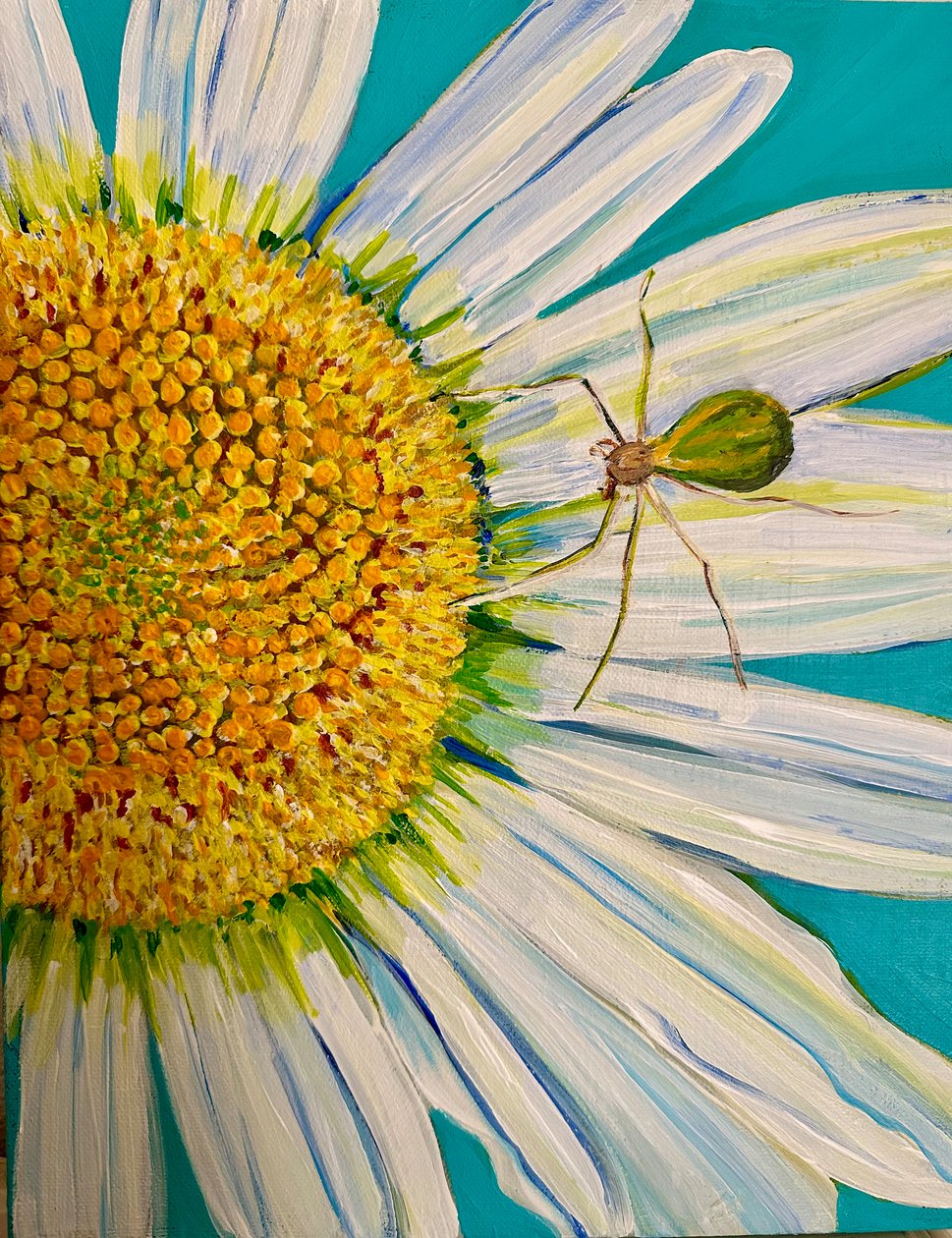 Watermelon Spider, 2023 (akryl na płótnie) autorstwa Jan Barzottini