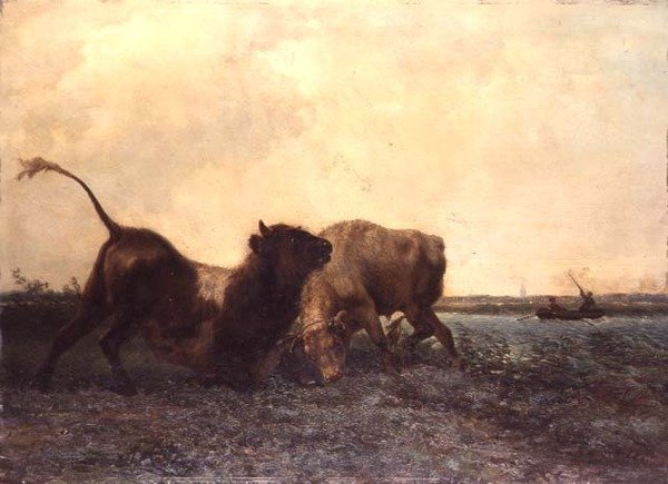 Walka Byków autorstwa Jan Bedys Tom