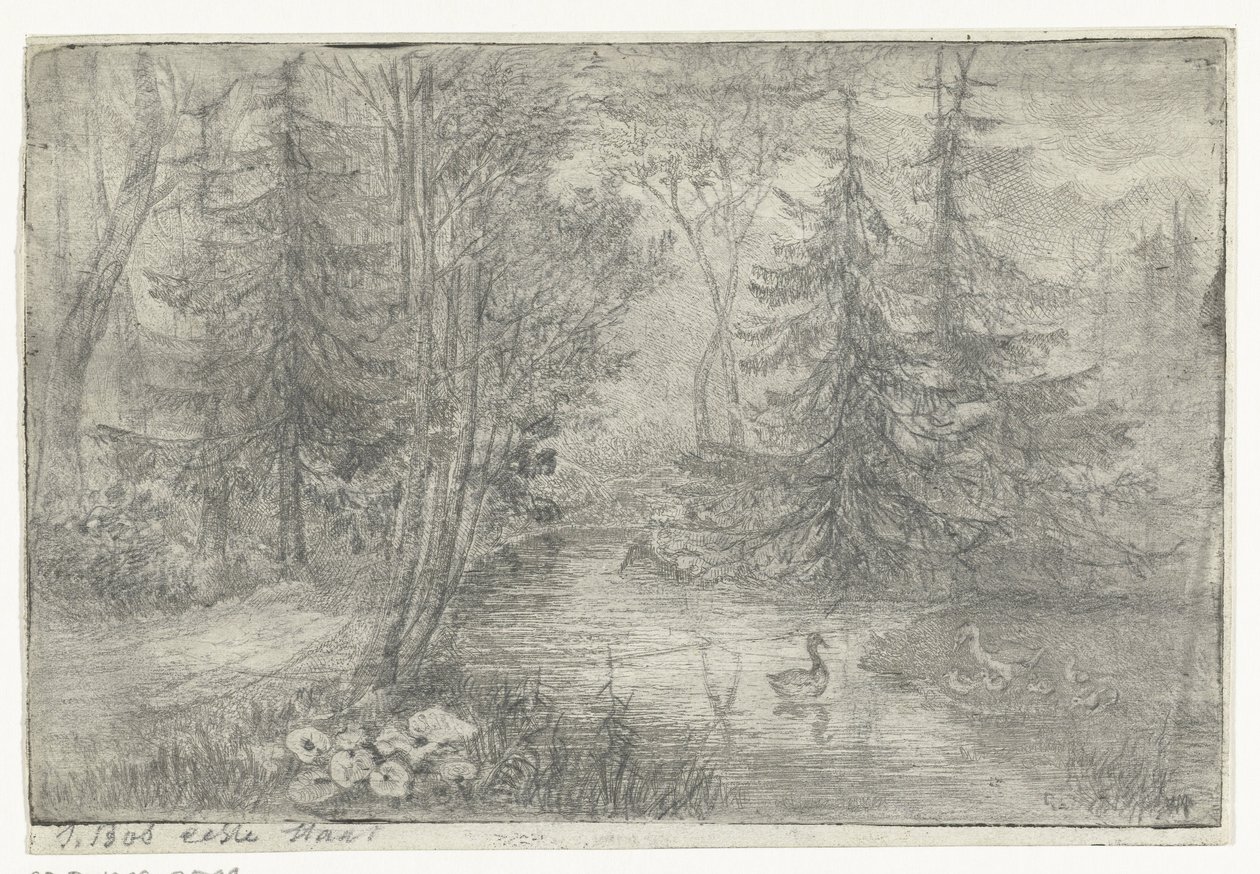 Staw leśny z kaczkami autorstwa Jan Bos Wz. (signed by artist)