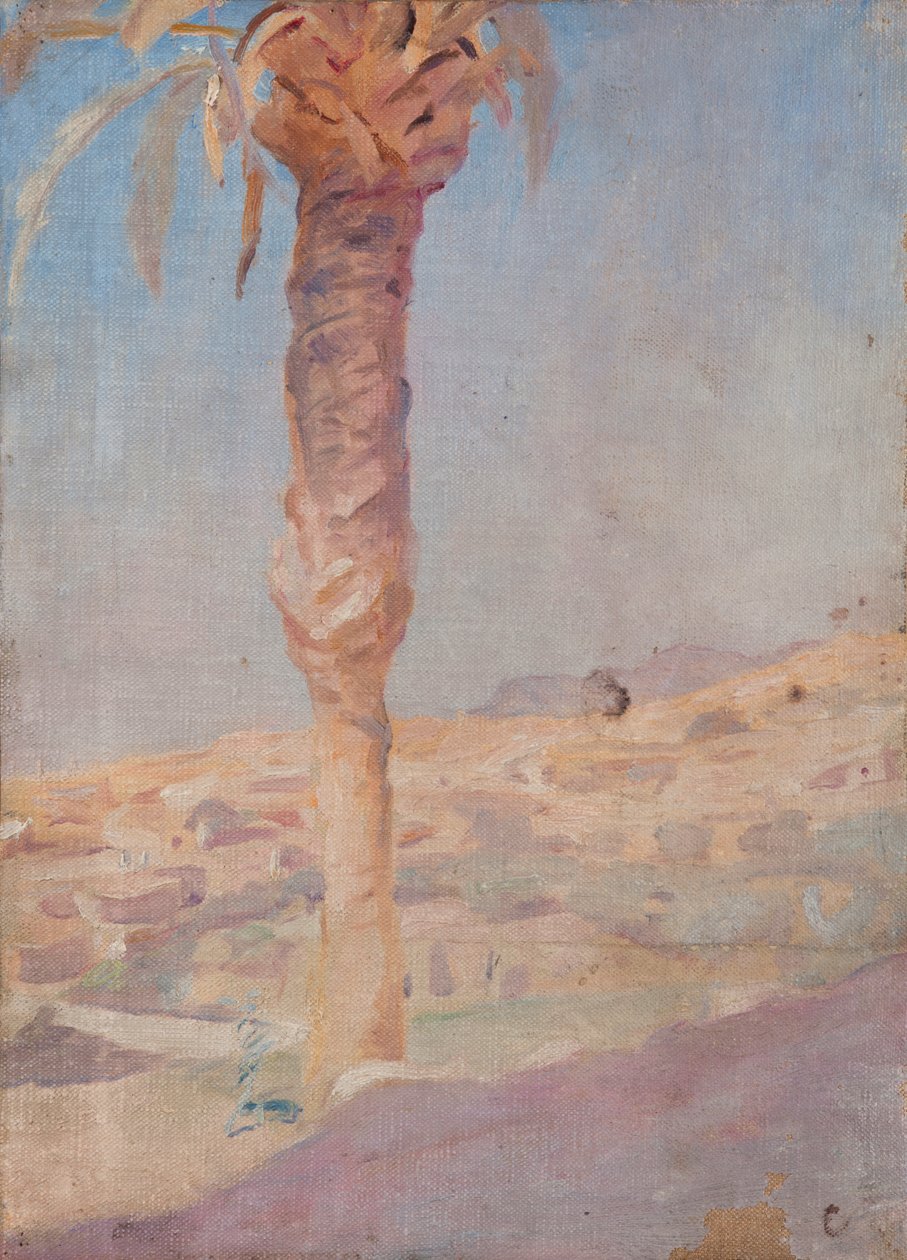 Hiszpania (Crevillente) autorstwa Jan Ciągliński