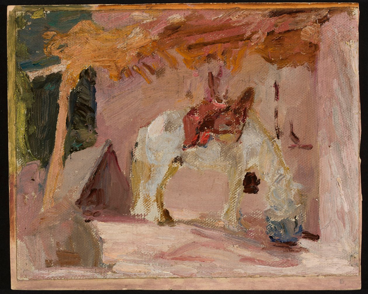 Pferd. Aus der Reise nach Turkestan autorstwa Jan Ciągliński