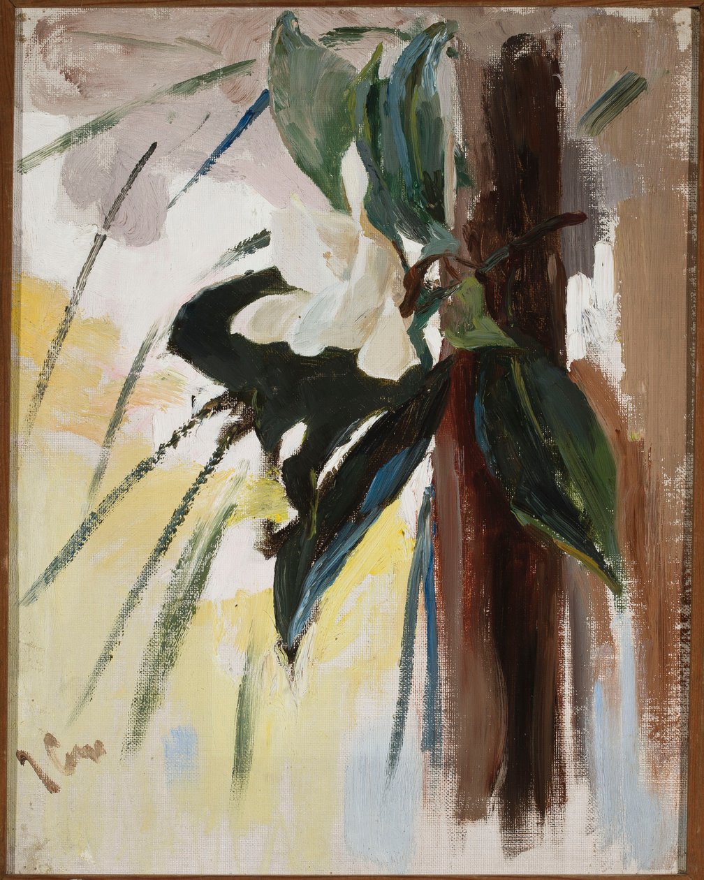 Magnolia autorstwa Jan Ciągliński