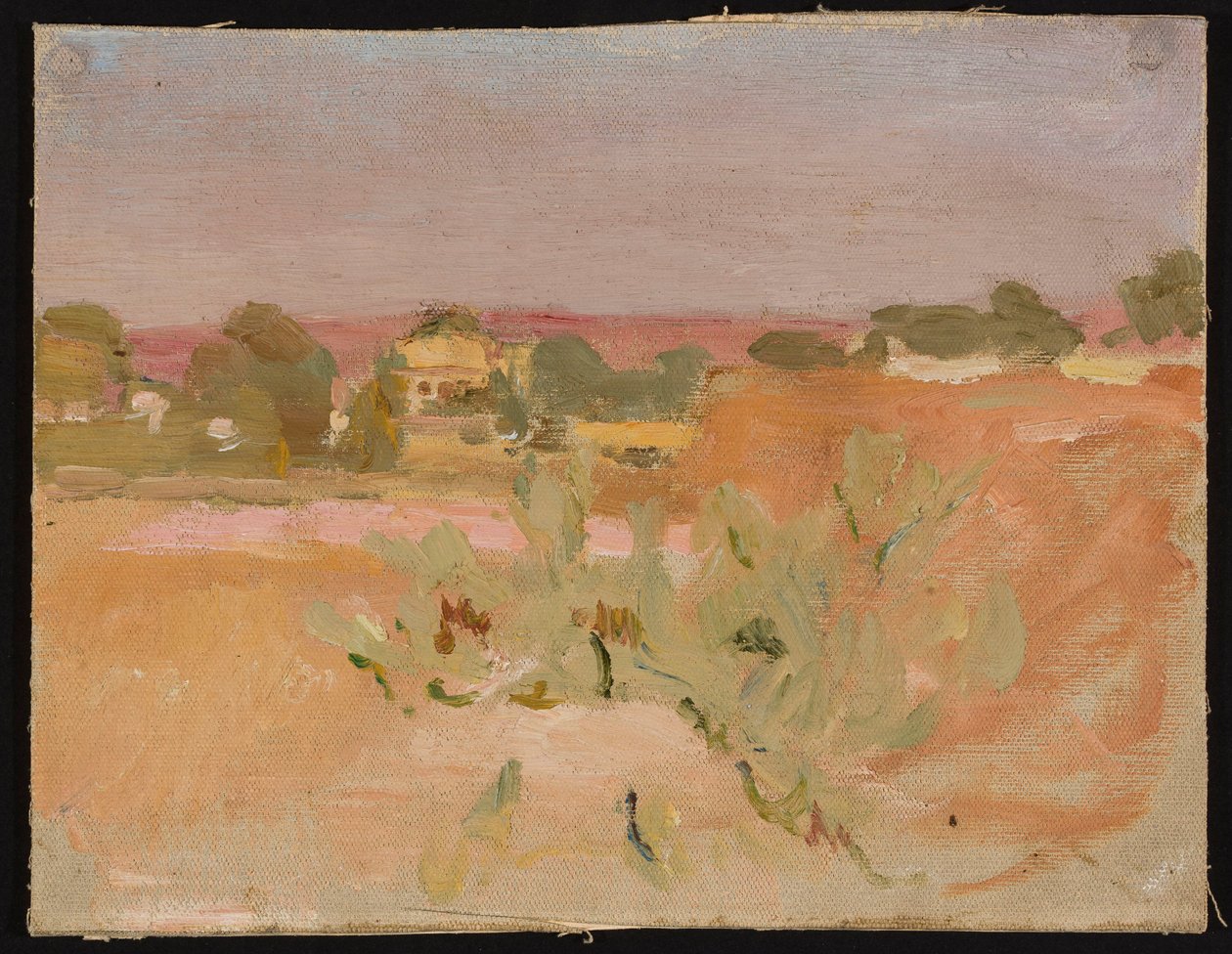 Rosa Landschaft mit Kakteen. Aus einer Reise nach Indien autorstwa Jan Ciągliński