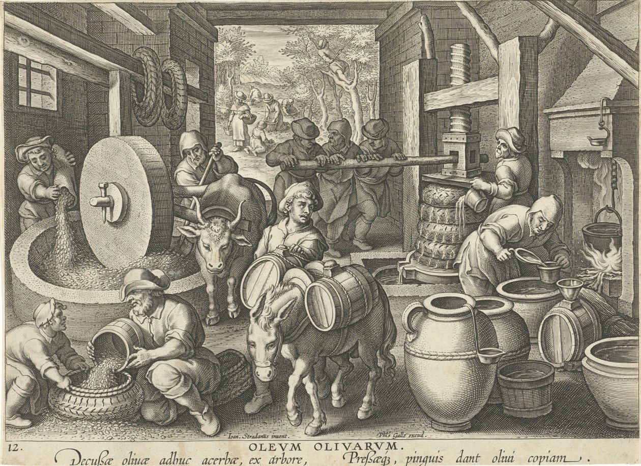 prasa do oliwek Olevm Olivarvm (tytuł na obiekcie) Nowe wynalazki i odkrycia (tytuł serii) Nova Reperta (tytuł serii) autorstwa Jan Collaert (II) (attributed to)