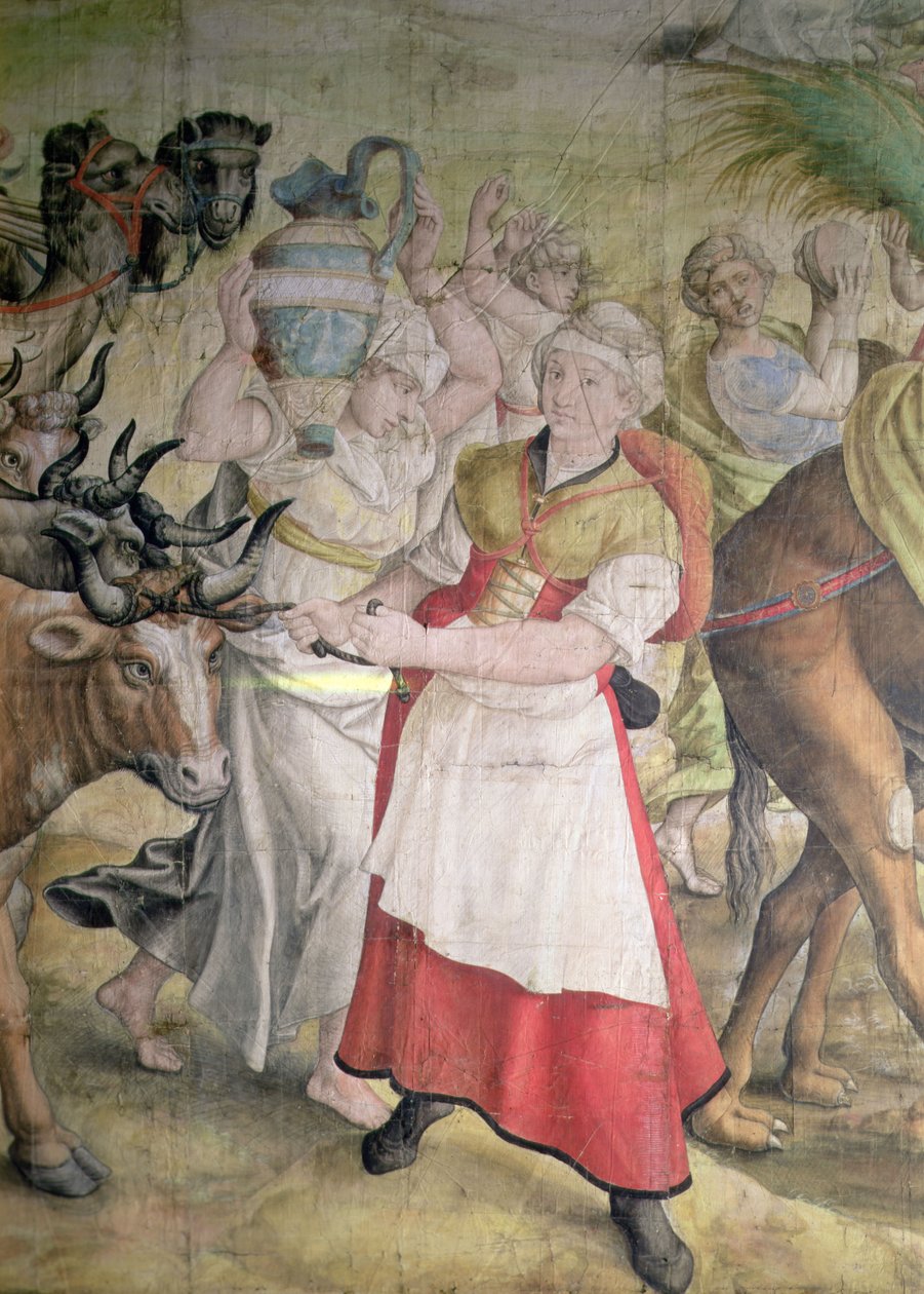 Kampania cesarza Karola V autorstwa Jan Cornelisz Vermeyen