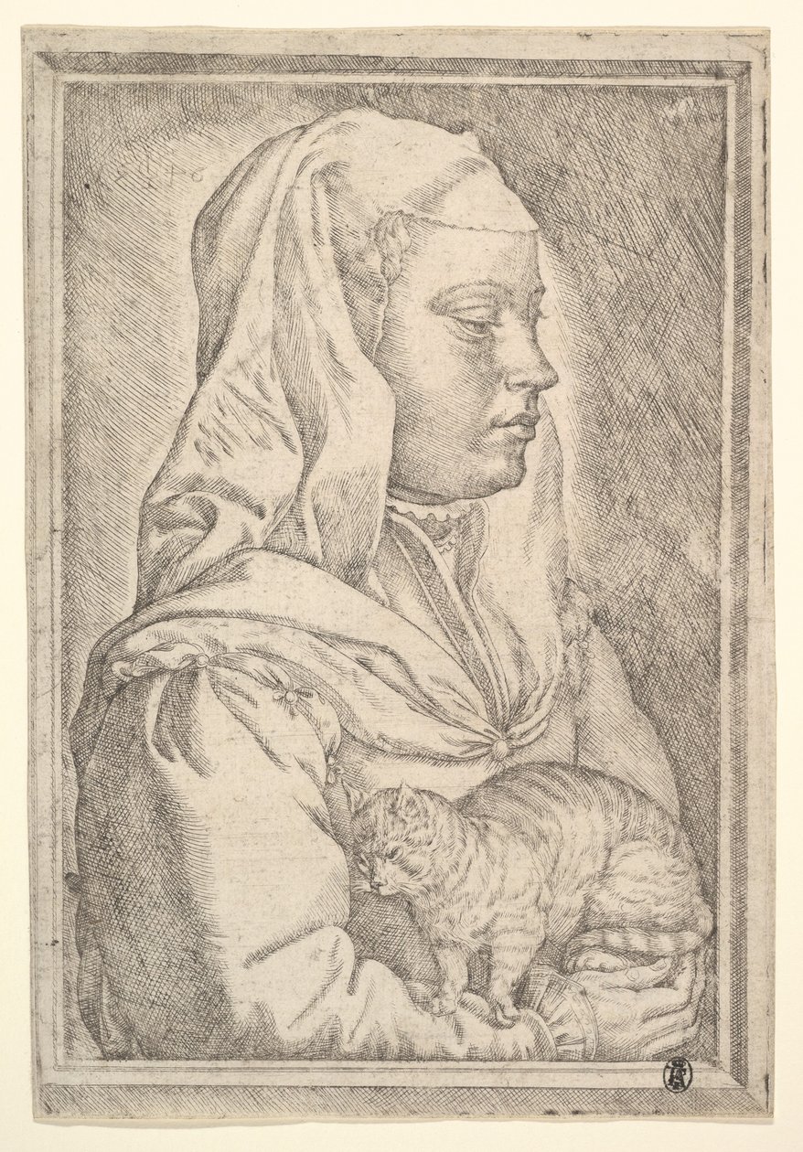 Dziewczyna z kotem, 1546. autorstwa Jan Cornelisz Vermeyen