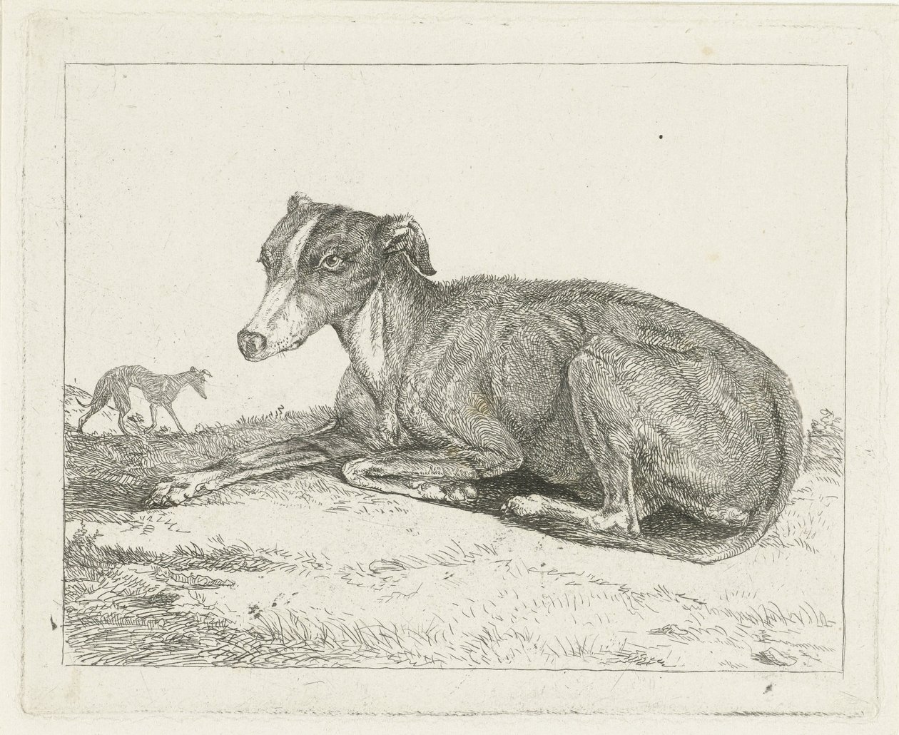 charty autorstwa Jan Dasveldt